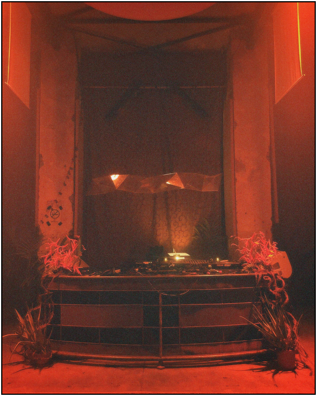 Untitled design copy 7.png