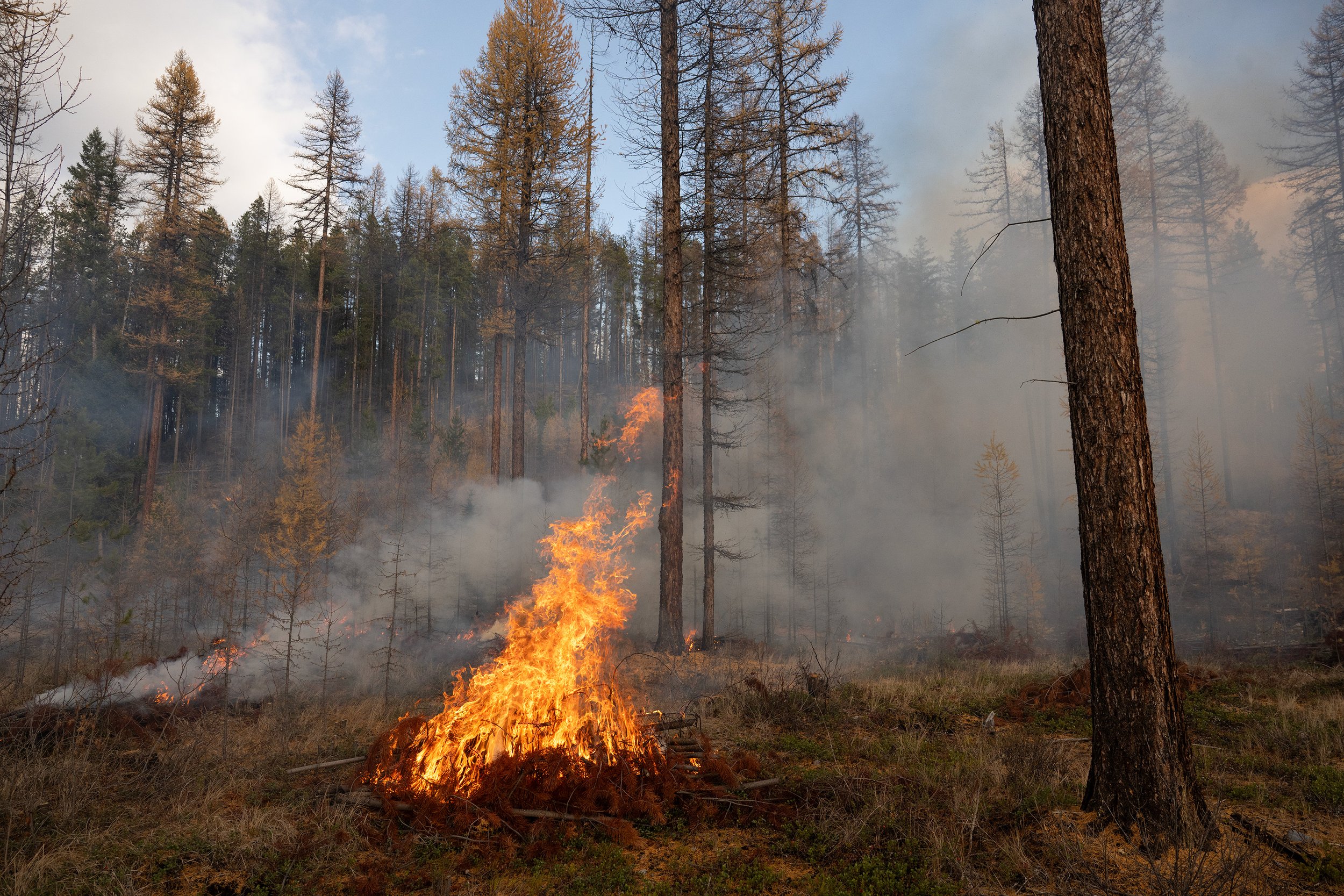 Prescribed Burns_0013.JPG