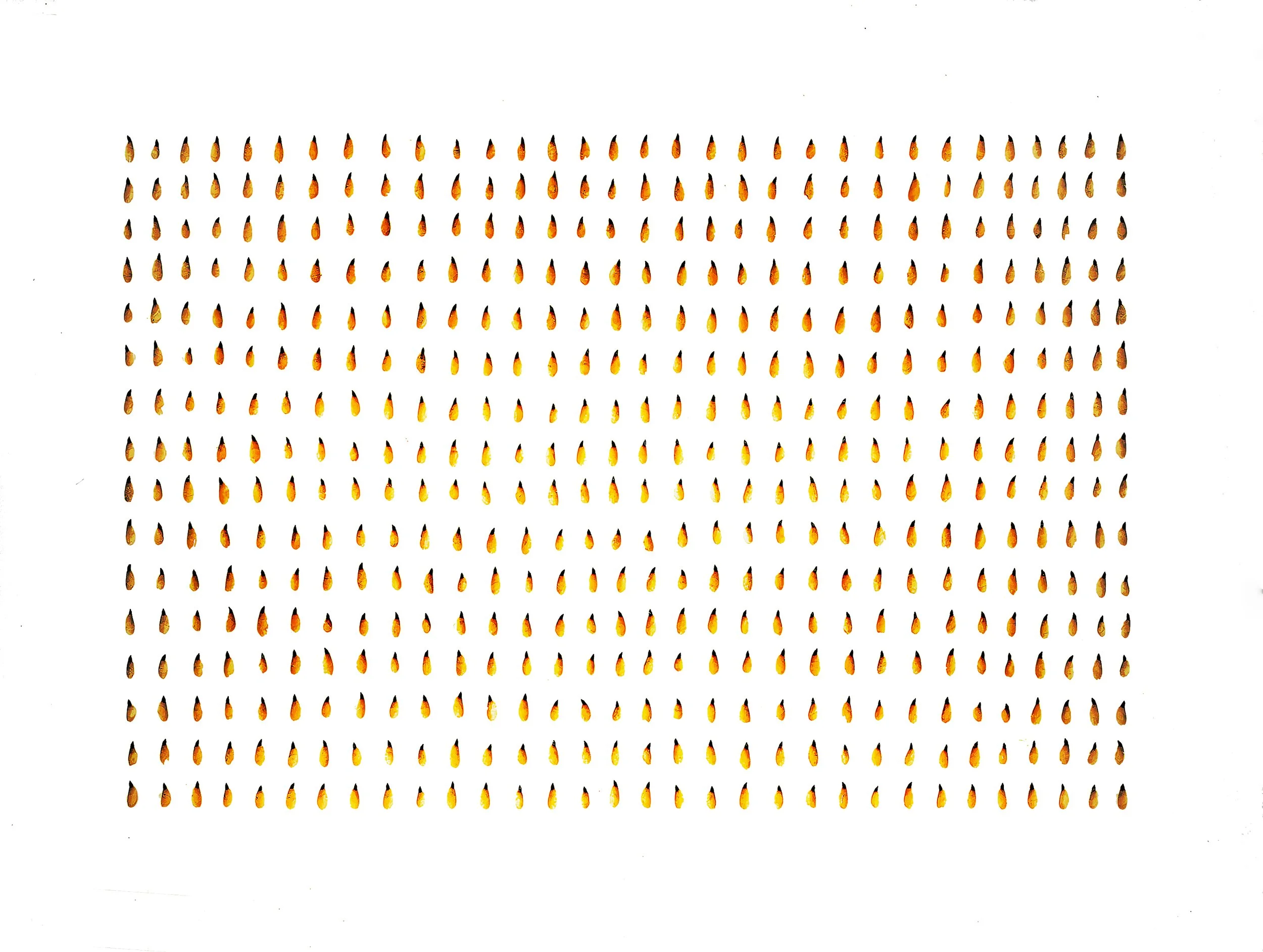 Vesa_Aaltonen_512_SEEDS1.jpg