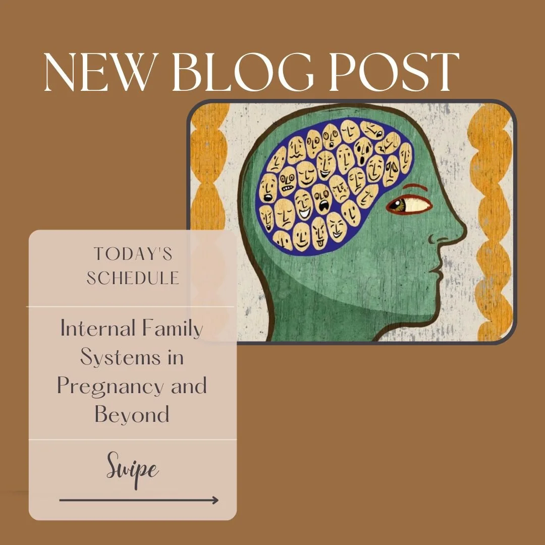 *Our counsellor, Caitie Jane Parsons, explains Internal Family Systems!*

Internal Family Systems (IFS) work is an effective, science-based tool to support mental health. In her blog, Caitie Jane, provides an easy to follow introduction to IFS and ex