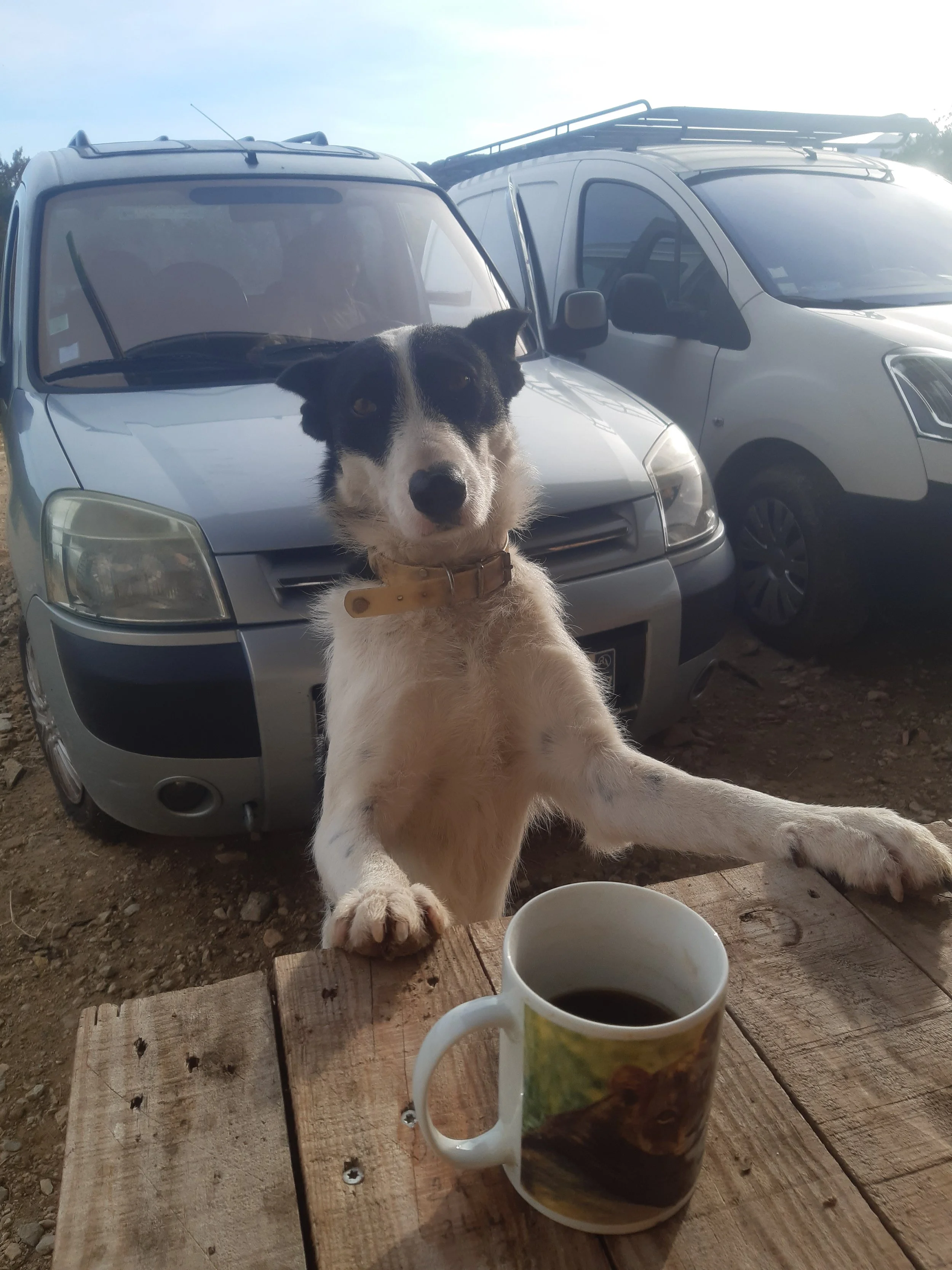 le chevristan picodon drome 27.jpg