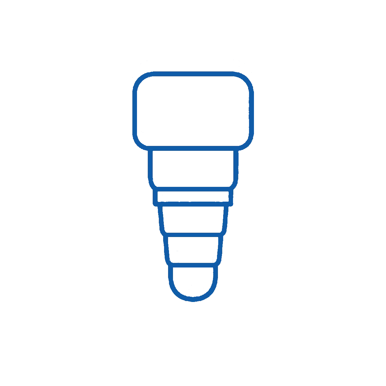 Graphic illustration of a human tooth with a root canal, highlighting the different parts of the tooth from crown to root.