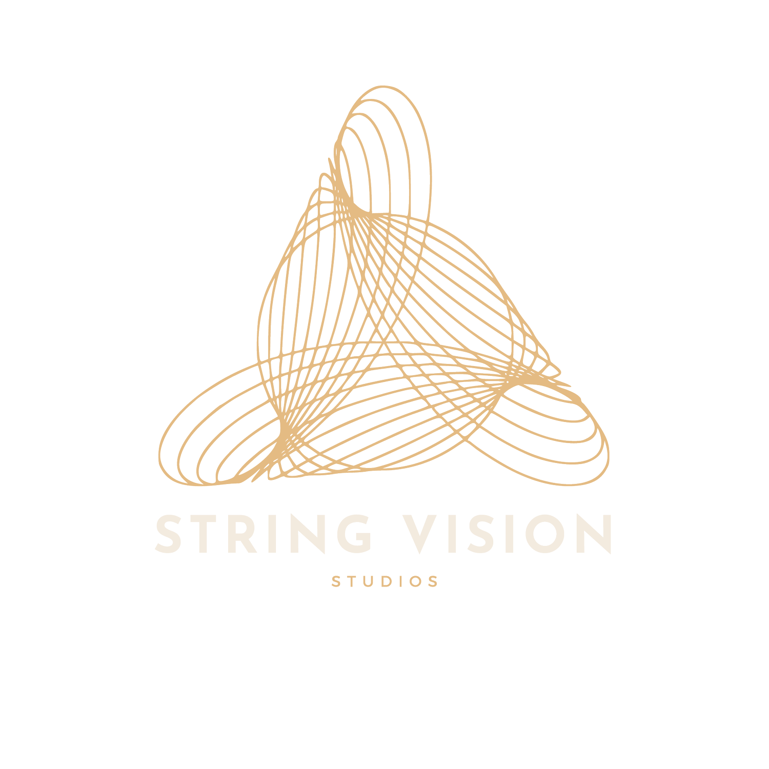 STRING VISION STUDIOS