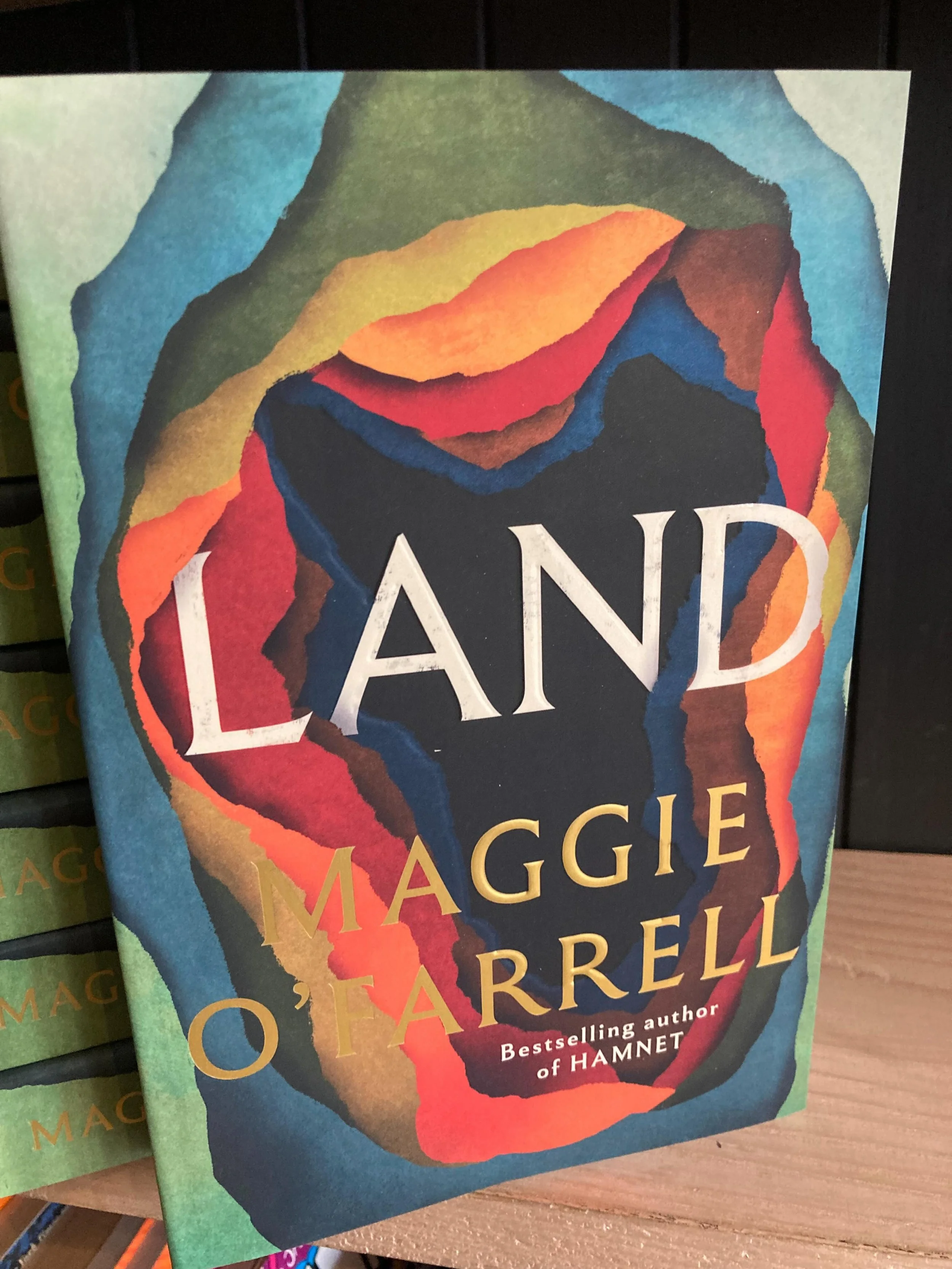 Set in 1865, Maggie O&rsquo;Farrell&rsquo;s Land follows surveyor Tom&aacute;s and his 10-year-old son, Liam, mapping post-famine Ireland. After a mystical encounter in a wooded copse, Tom&aacute;s abandons his British-backed project to create a true