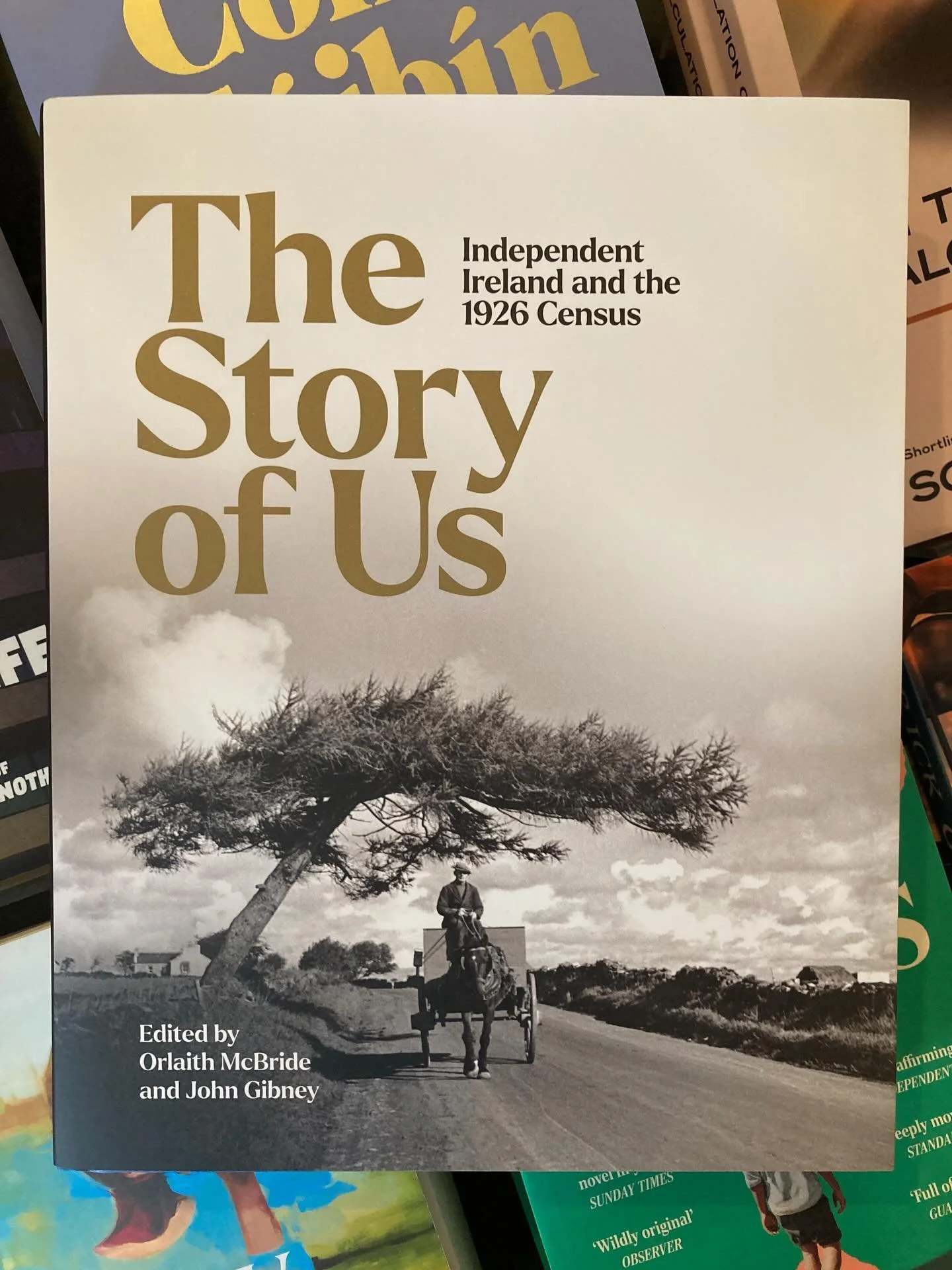 A landmark centenary publication that brings the newly released 1926 census to life through vivid storytelling, expert insight, and stunning visual material.

@merrion_press 
@narireland 

#census #irishhistory