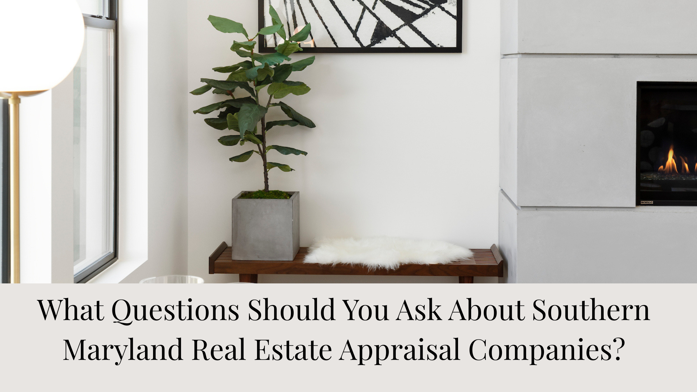 What Questions Should You Ask About Southern Maryland Real Estate Appraisal Companies?