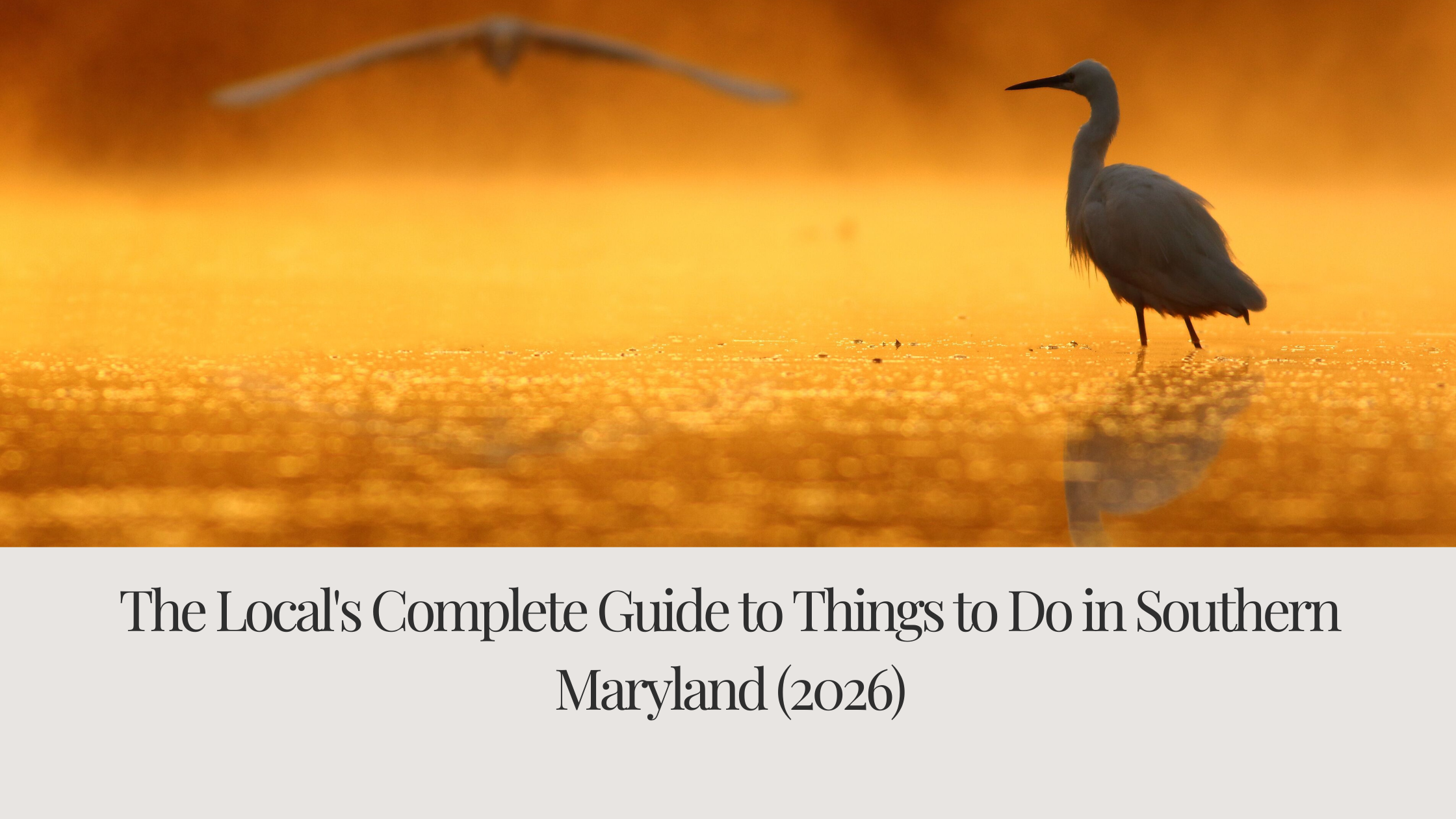 The Local's Complete Guide to Things to Do in Southern Maryland (2026)