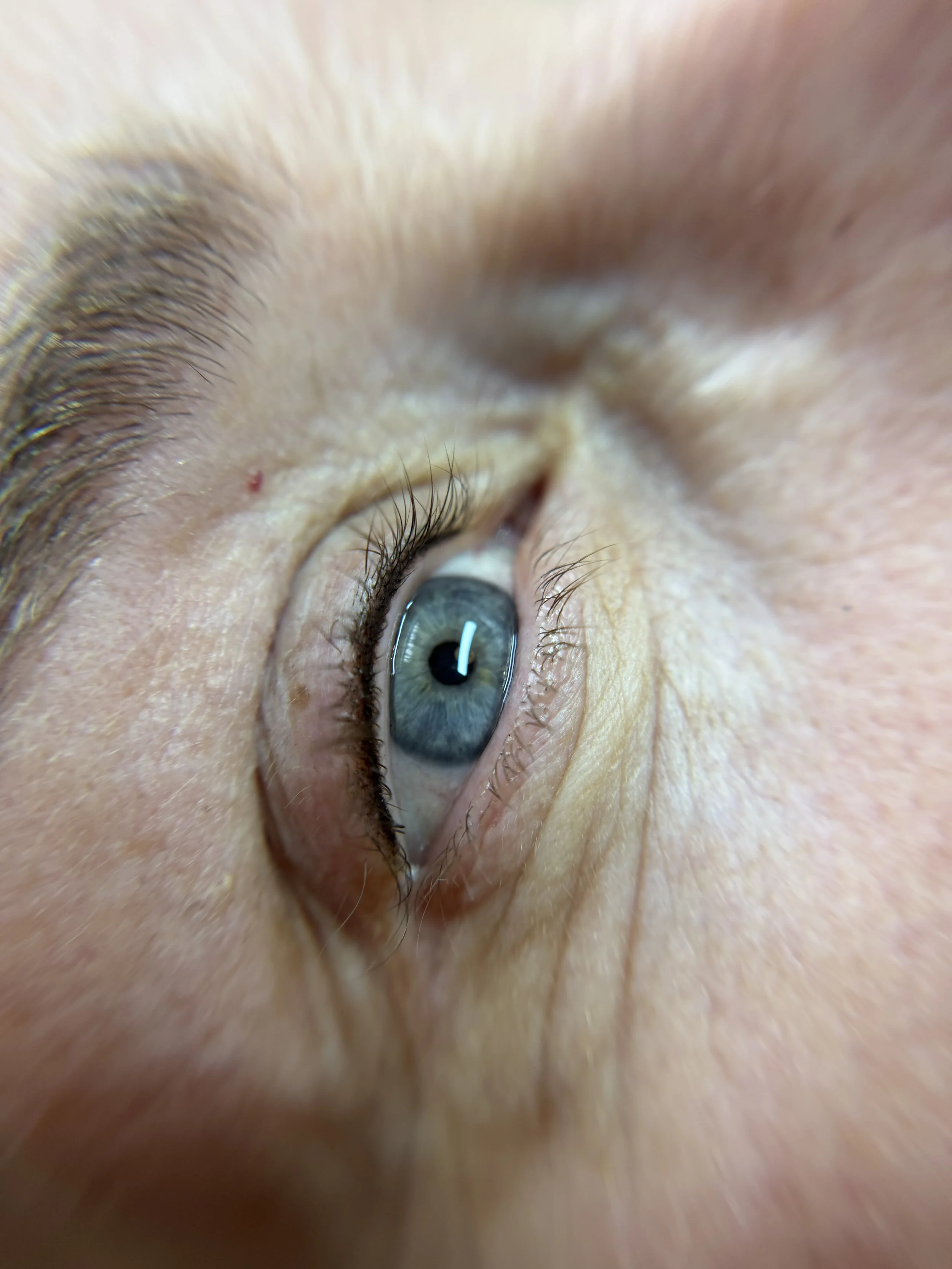 Lash Line Enhancement