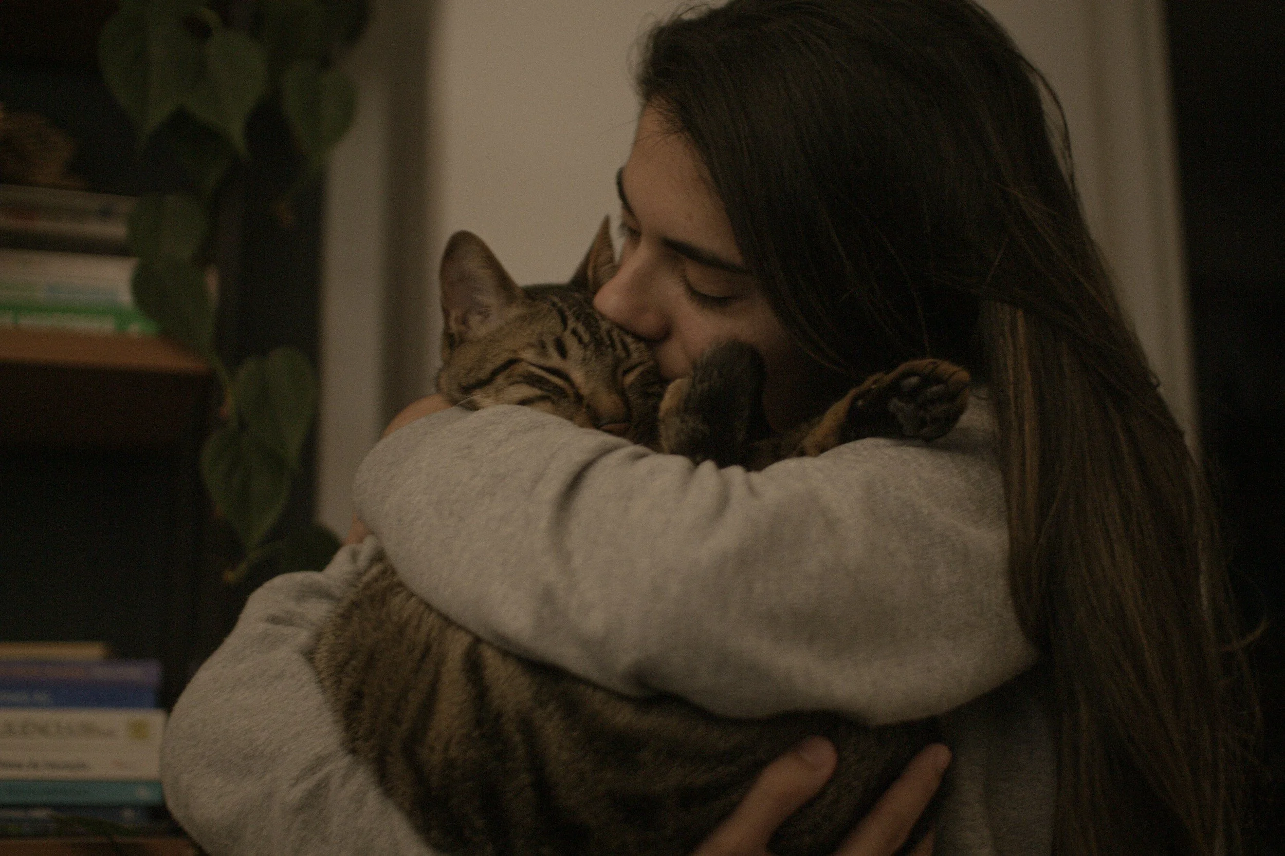 Animal Communicator Kissing Tabby Cat