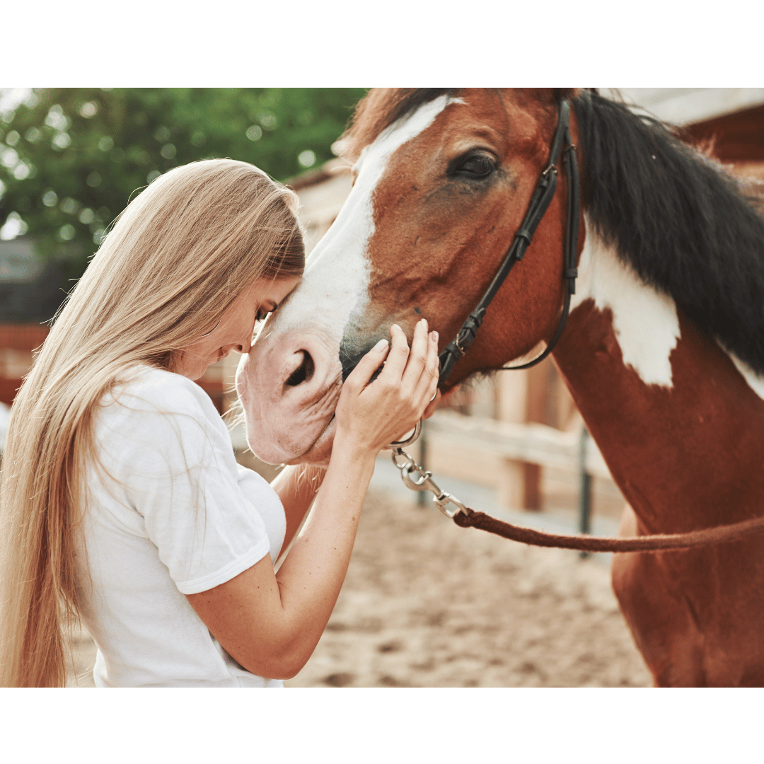 Horse Communicator lovingly petting a paint horse