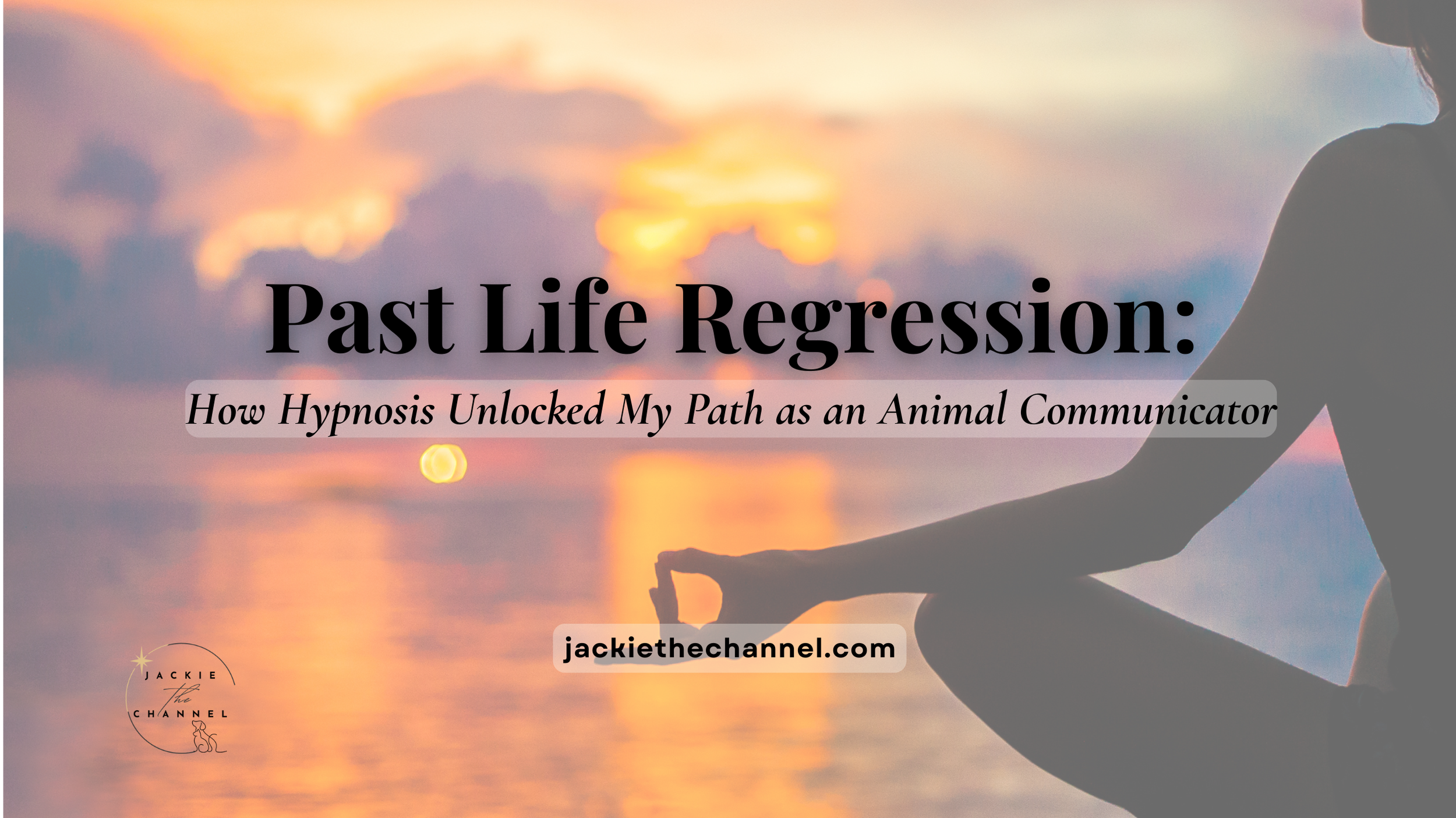 Past Life Regression: How Hypnosis Unlocked My Path as an Animal Communicator