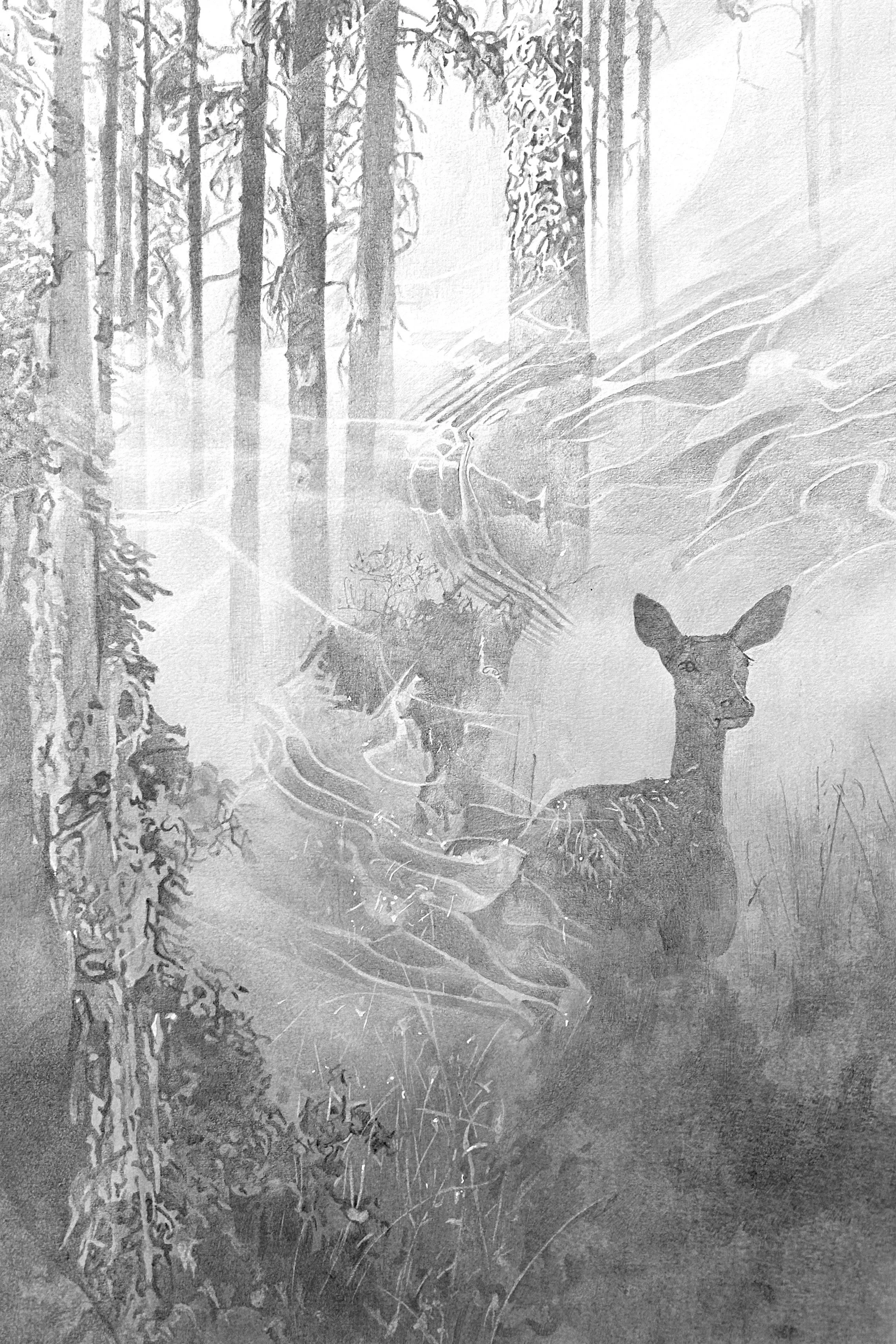 Un frémissement dans le calme blanc, mine graphite et fusain, 40 x 50 cm