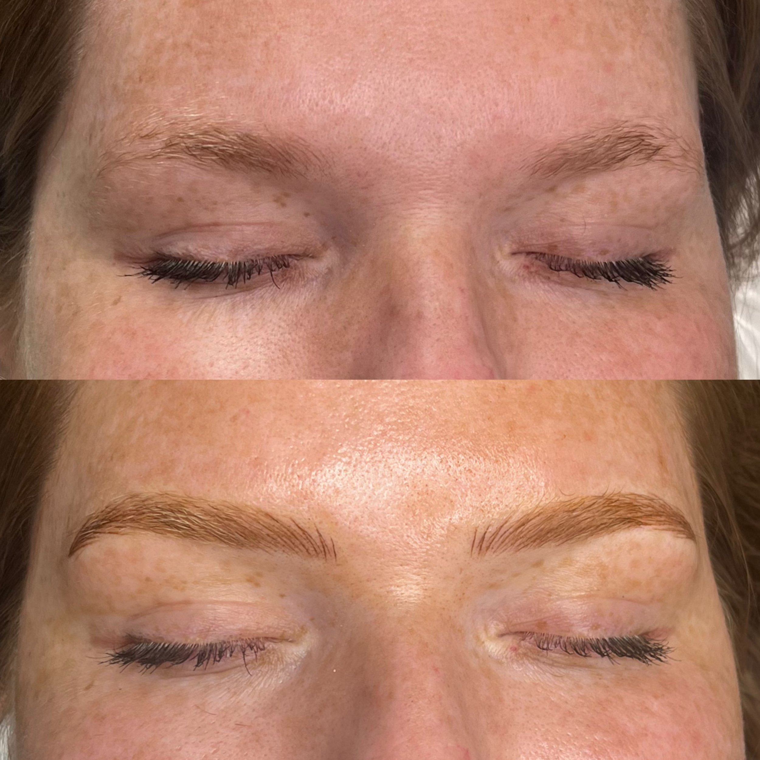 Nano brows lake norman