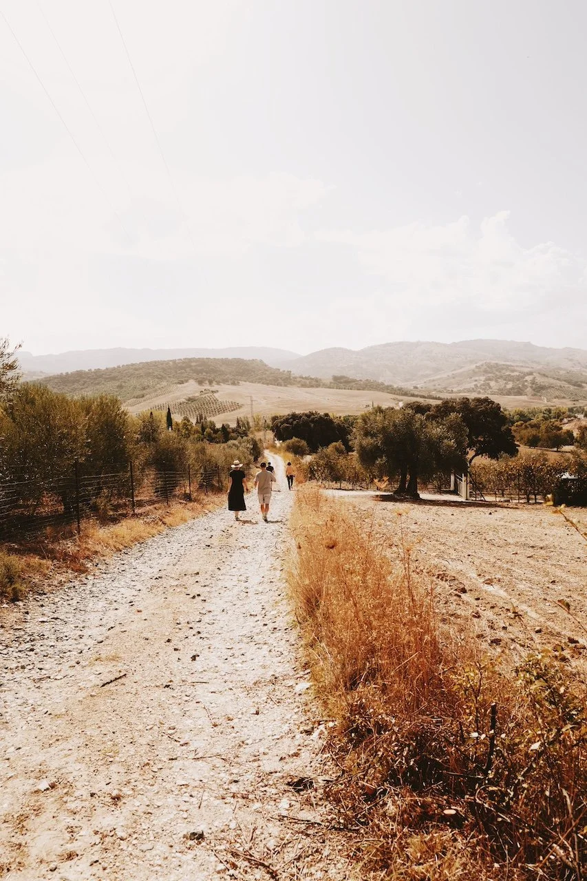 countryside_rental_spain.JPG