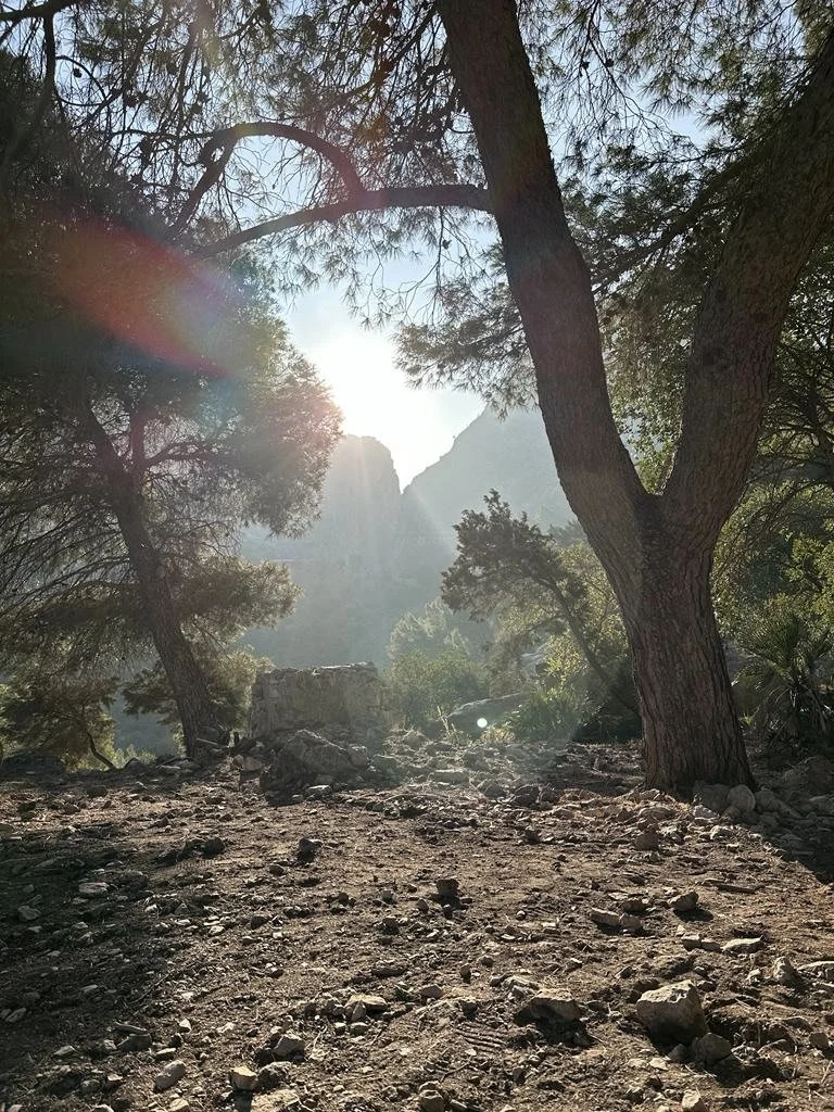 nature_holiday.jpg