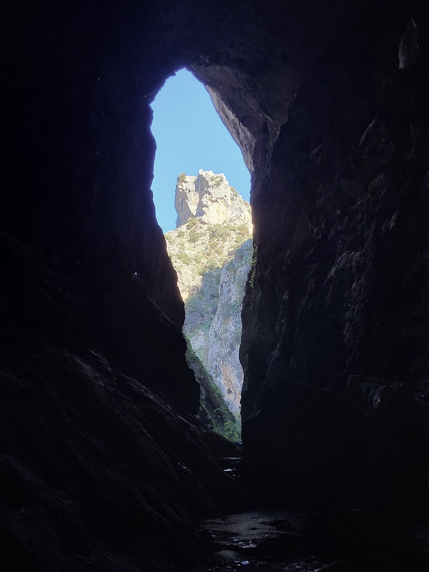 spain_nature.jpg