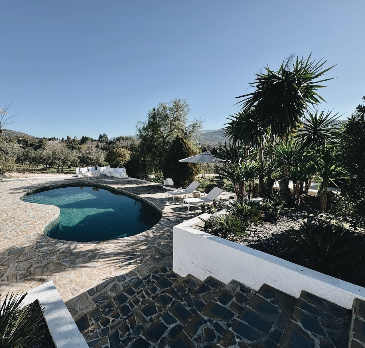 Private swimming pool at Finca La Marquesa, a luxury holiday home near Ronda in Andalusia