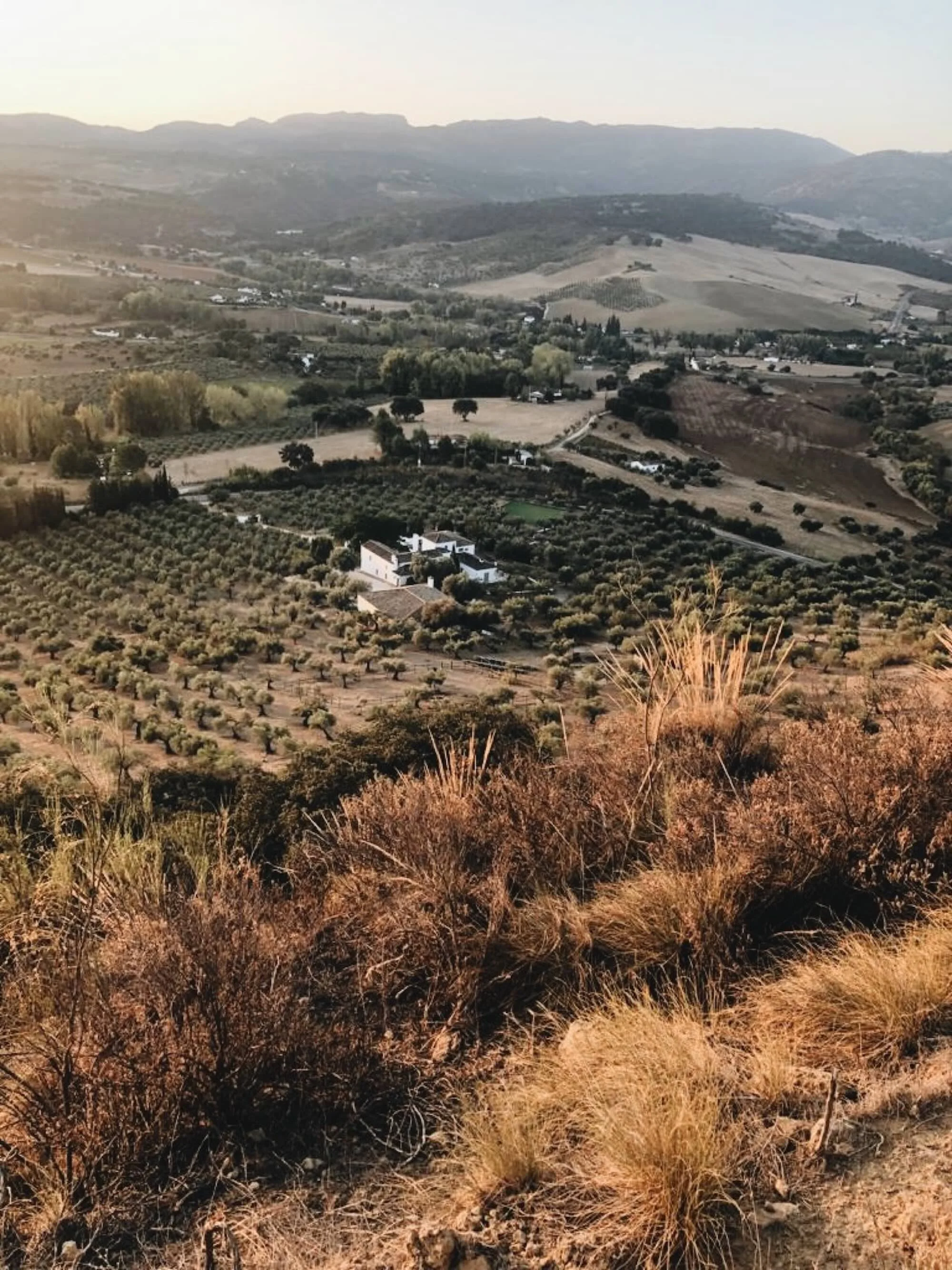 Panoramic view of Finca La Marquesa surrounded by olive groves and rolling hills in the Ronda countryside, Andalusia