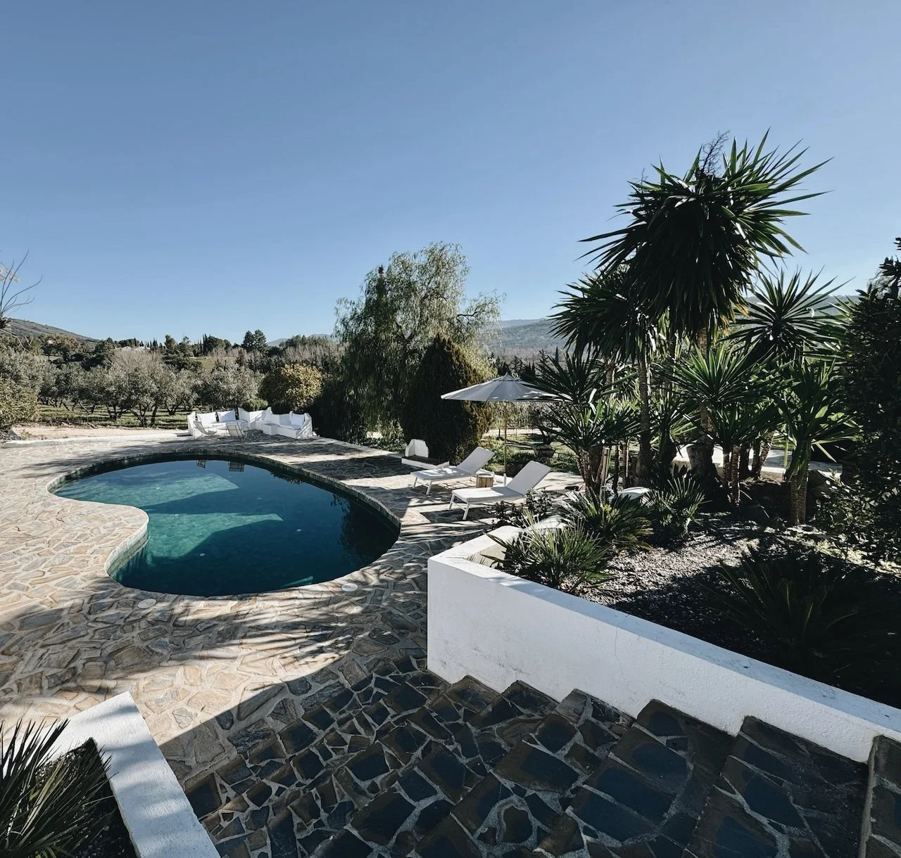 Saltwater swimming pool at Finca La Marquesa in the Andalusian countryside near Ronda