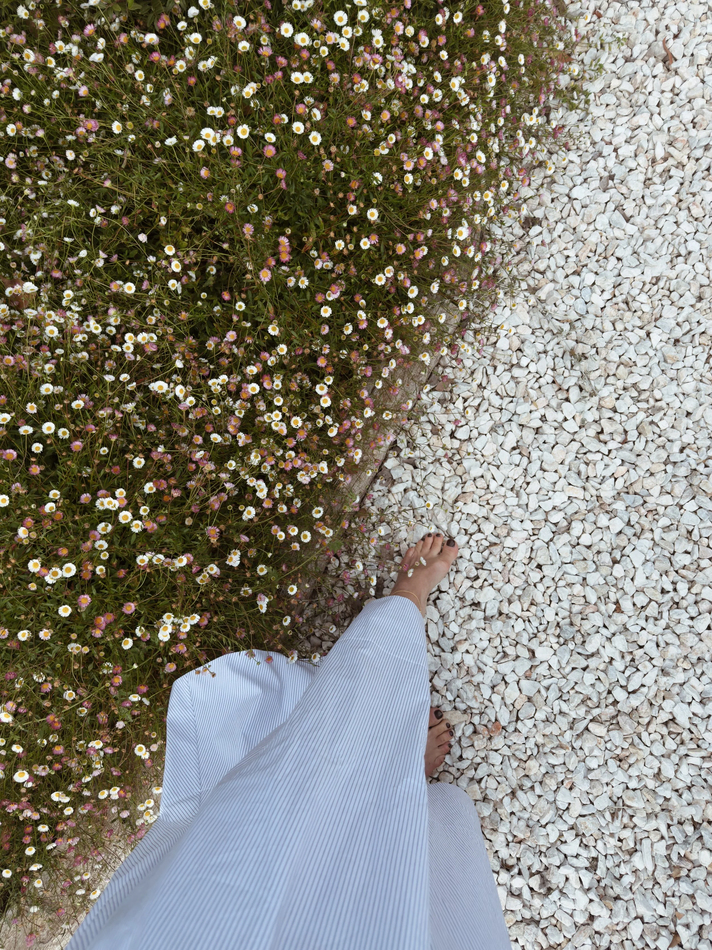 Barefoot walk along a Mediterranean garden path at Finca La Marquesa, surrounded by wildflowers near Ronda, Andalusia, Spain.