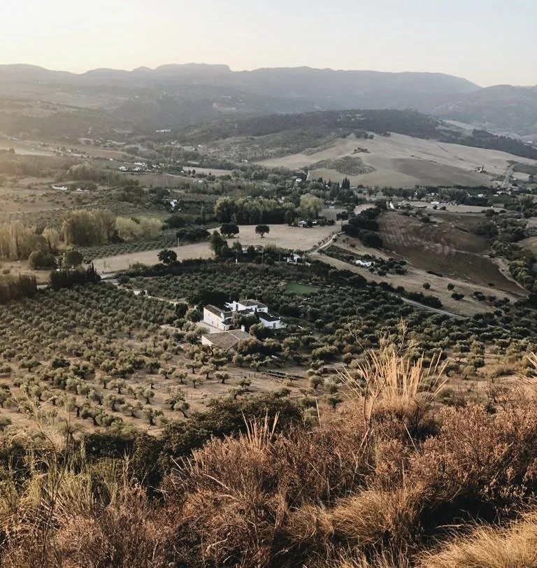Drone view showing Finca La Marquesa set in the Andalusian countryside near Ronda