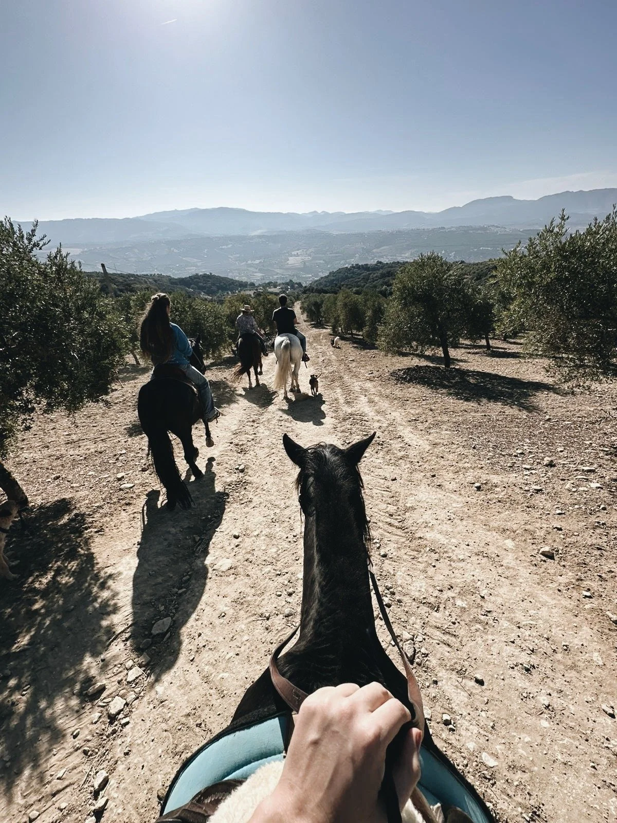 Horseback riding in the Andalusian countryside near Ronda, a memorable experience close to Finca La Marquesa