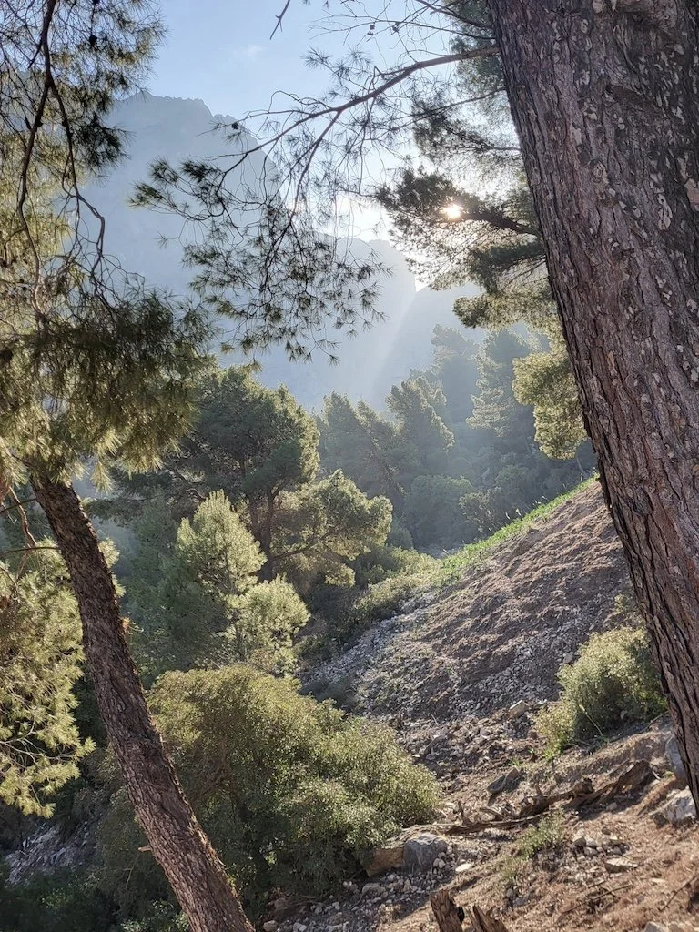 andalusia_nature.jpg