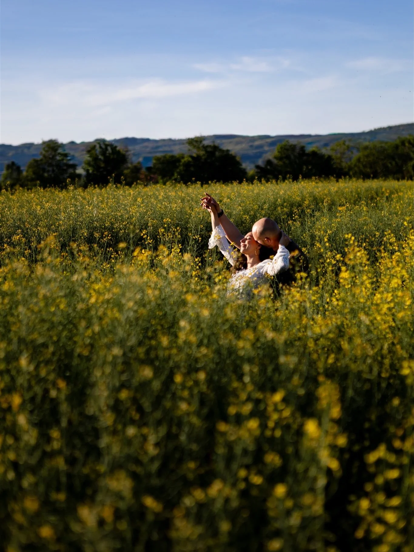 D&rsquo;habitude j&rsquo;&eacute;vite de shooter dans les cultures, pour des raisons &eacute;videntes de respect du travail des cultivateurs mais l&agrave; ,il y avait un trou &eacute;norme dans ce champs de colza  je l&rsquo;ai donc pris comme un si
