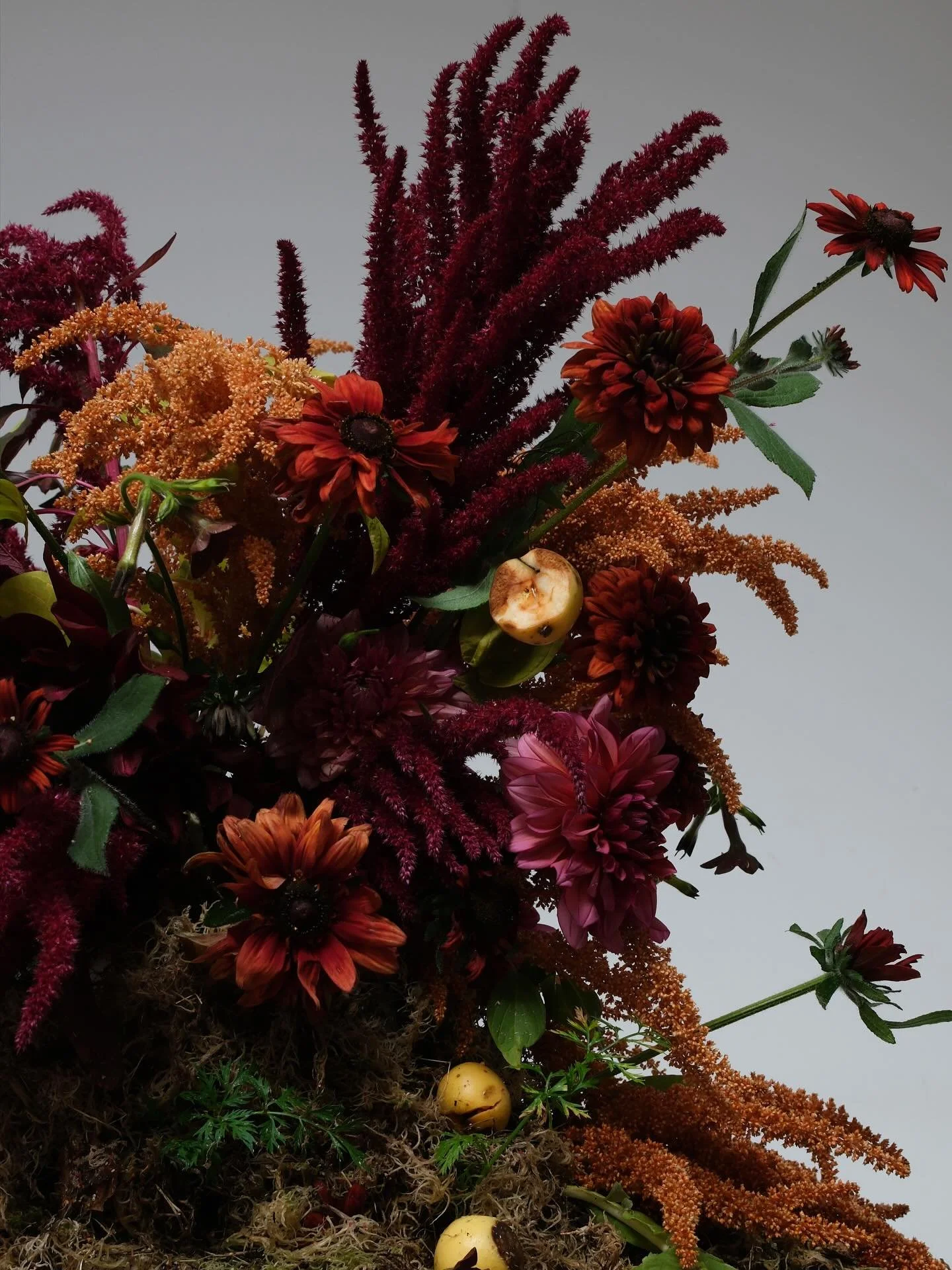 The book/the inspo/the flowers! Studio Petal book club? 🫀