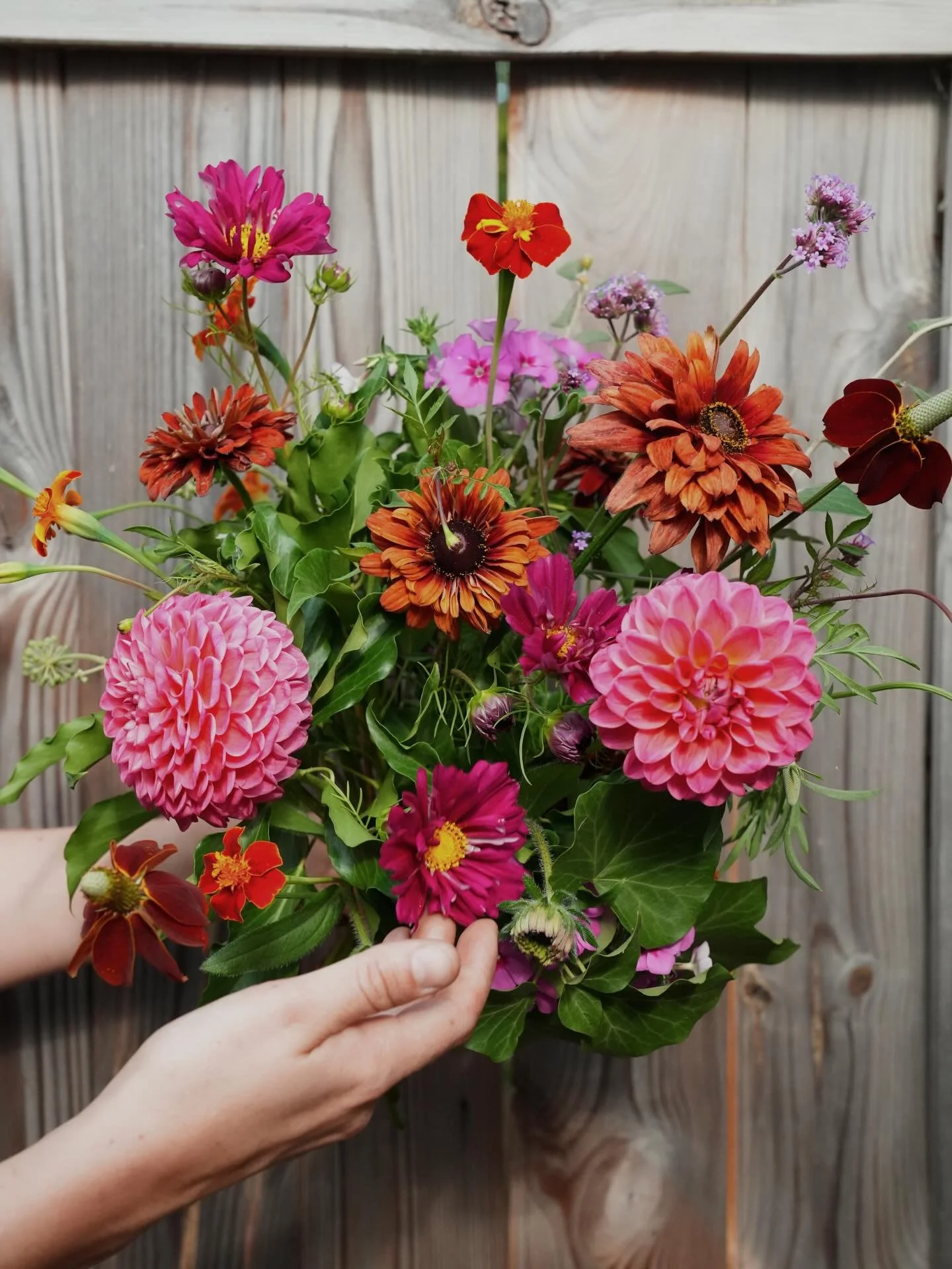 Last of the summer wine !!