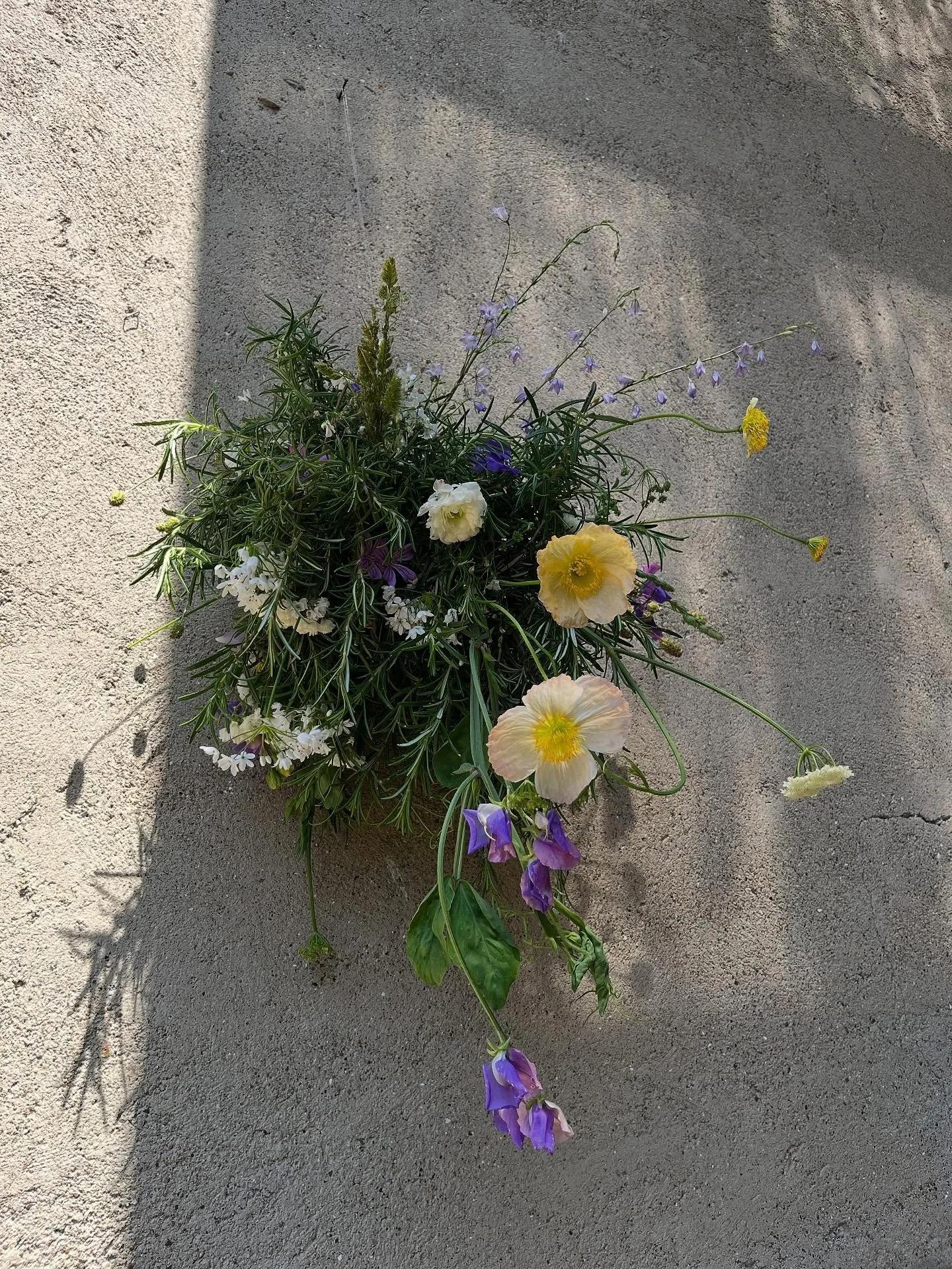 Postcards from Tuscany 💌