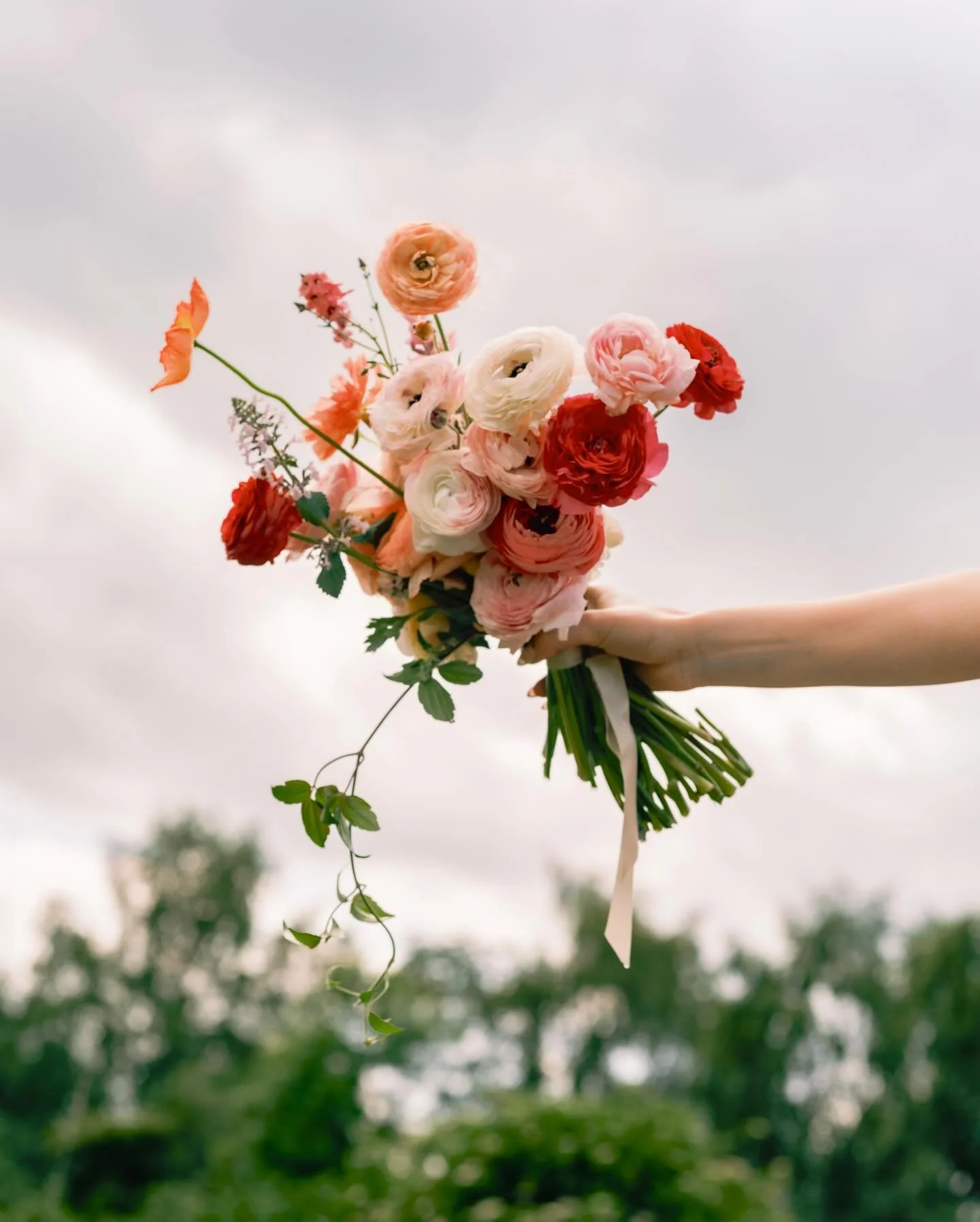 For Elle 🩰

📸 by the incredible @sebjjp