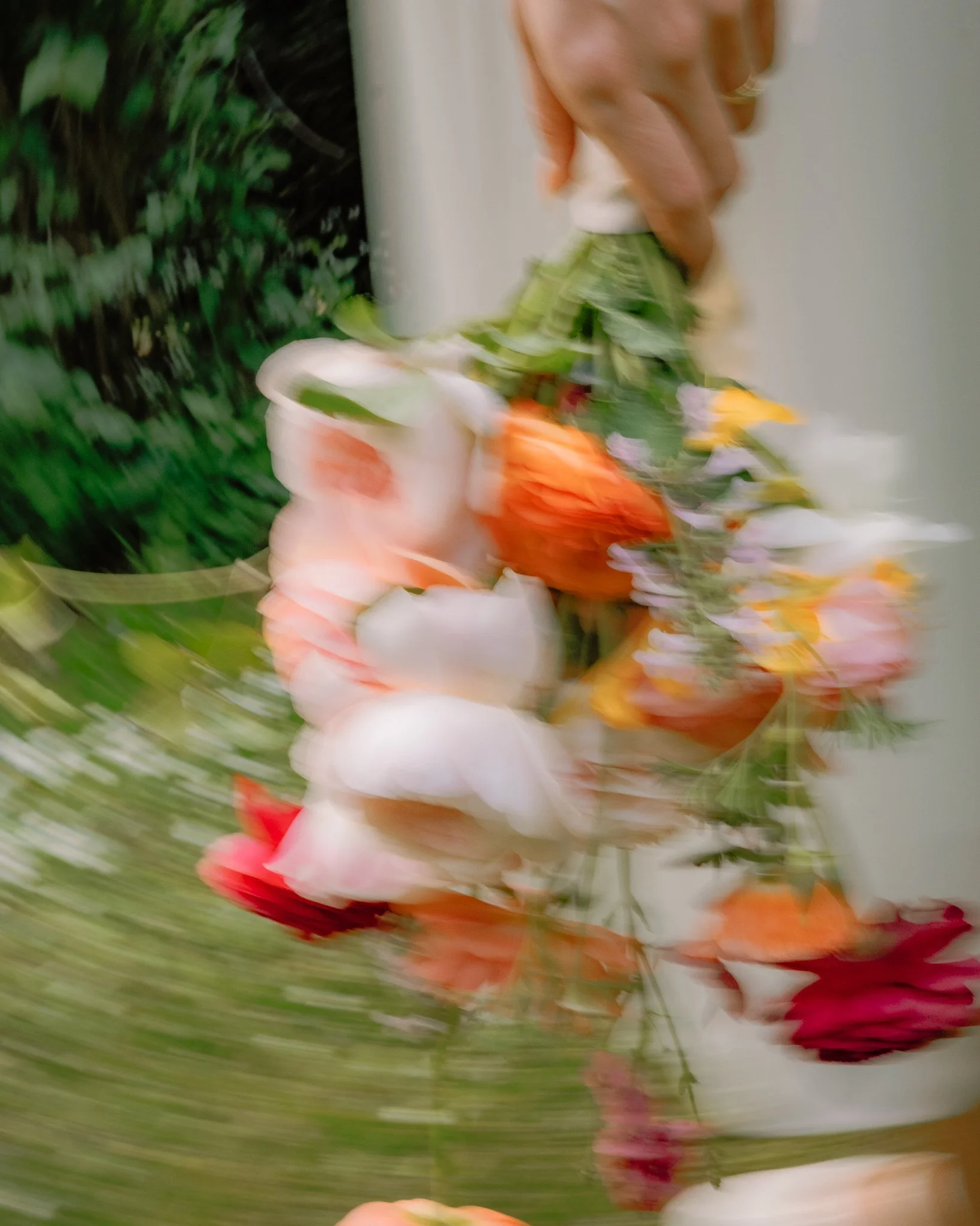petals_eloise-010.jpg