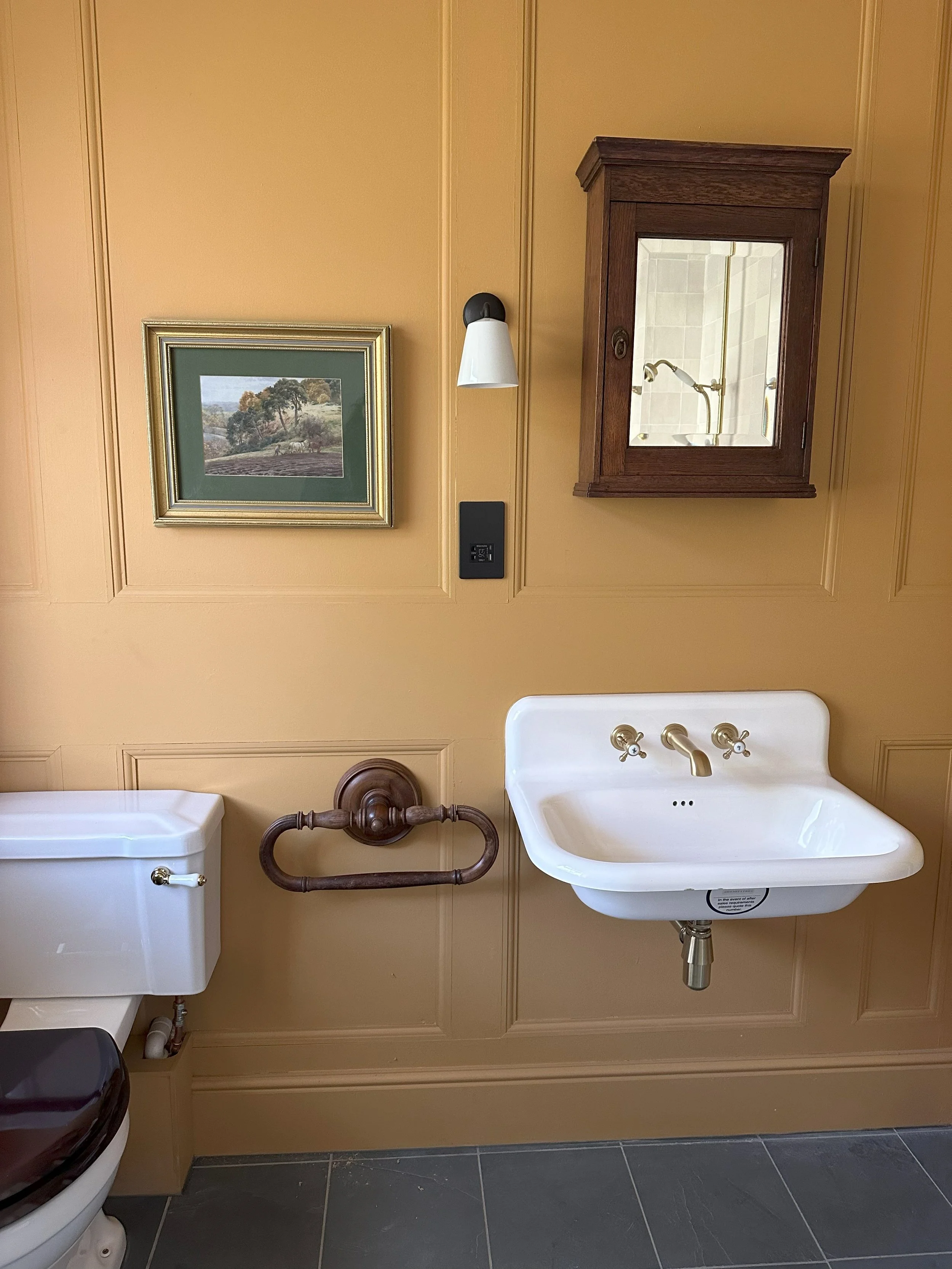 Sychnant Pass Bed 7 en suite 180625.jpeg