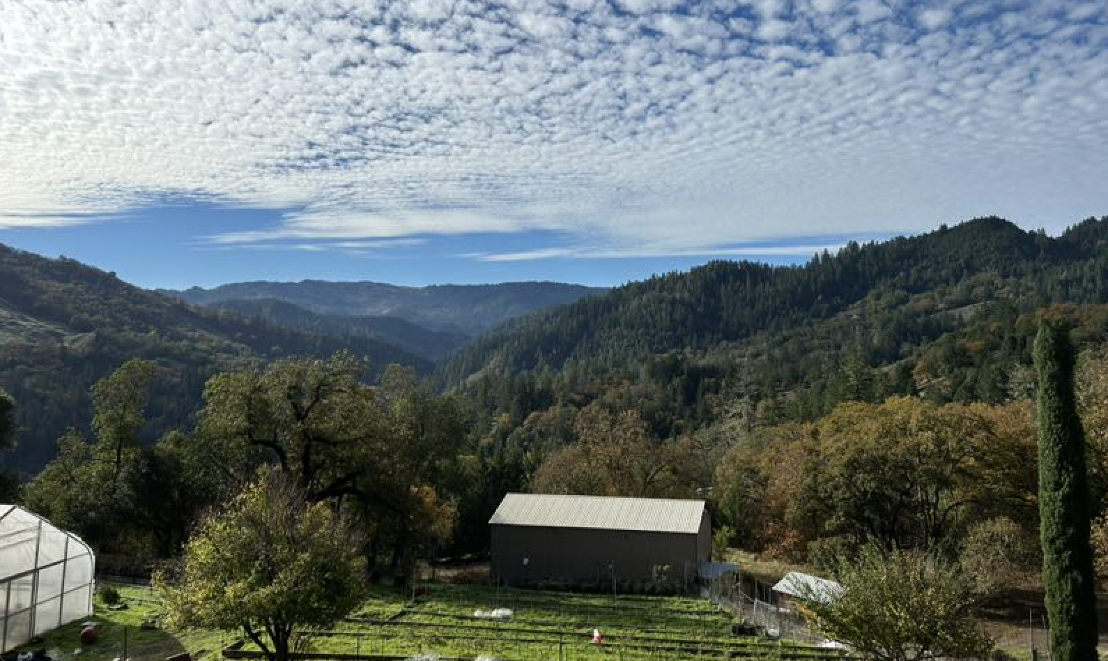 JANUARY 2026 NEWSLETTER