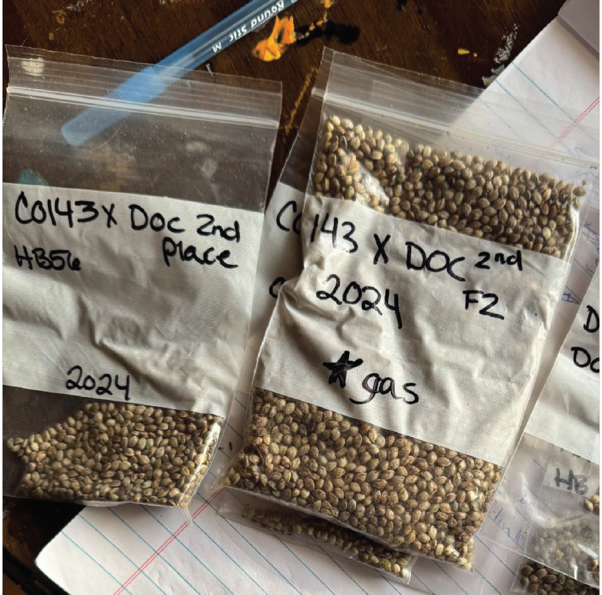 FEBRUARY 2026 NEWSLETTER