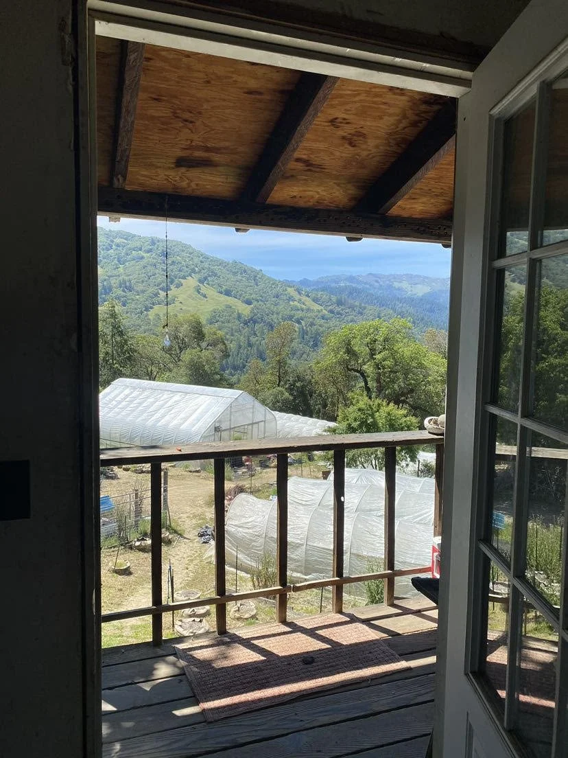 Mid spring (May) newsletter
