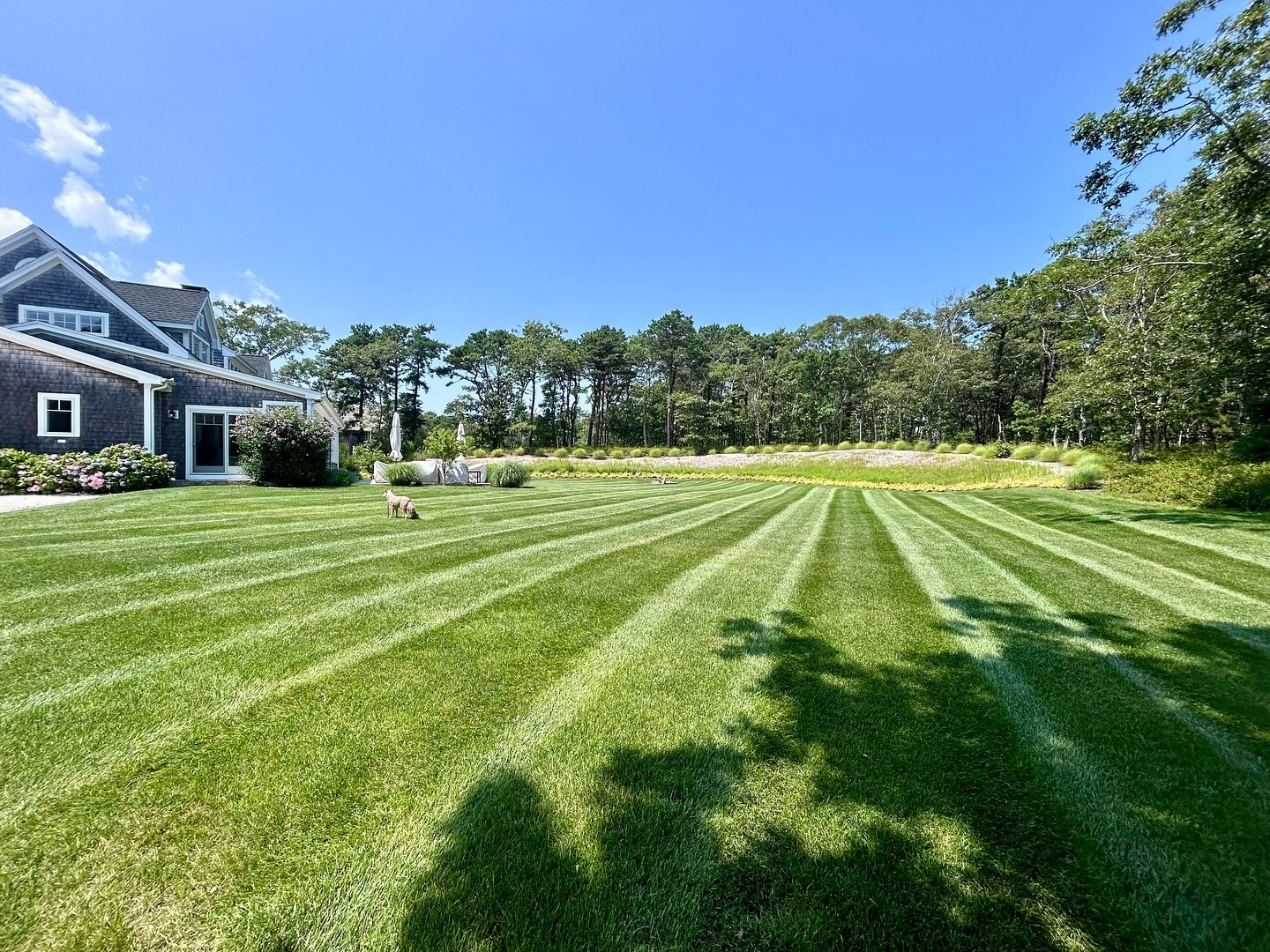 Lawn Maintenance! #Davieslandscape #MarthasVineyard #Edgartown #OakBluffs #VineyardHaven #WestTisbury #Chilmark #Aquinnah
