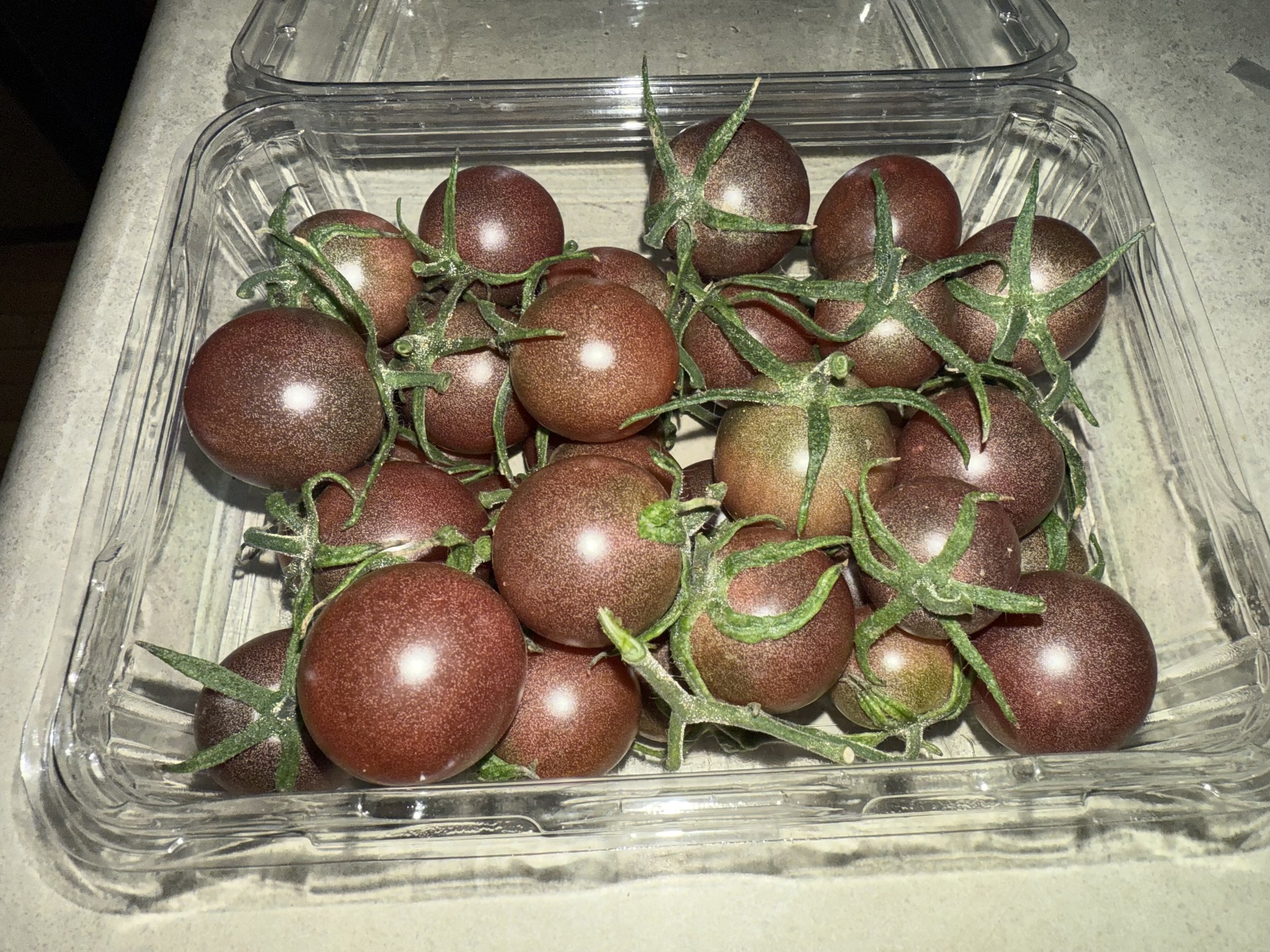 Cherry Tomatoes