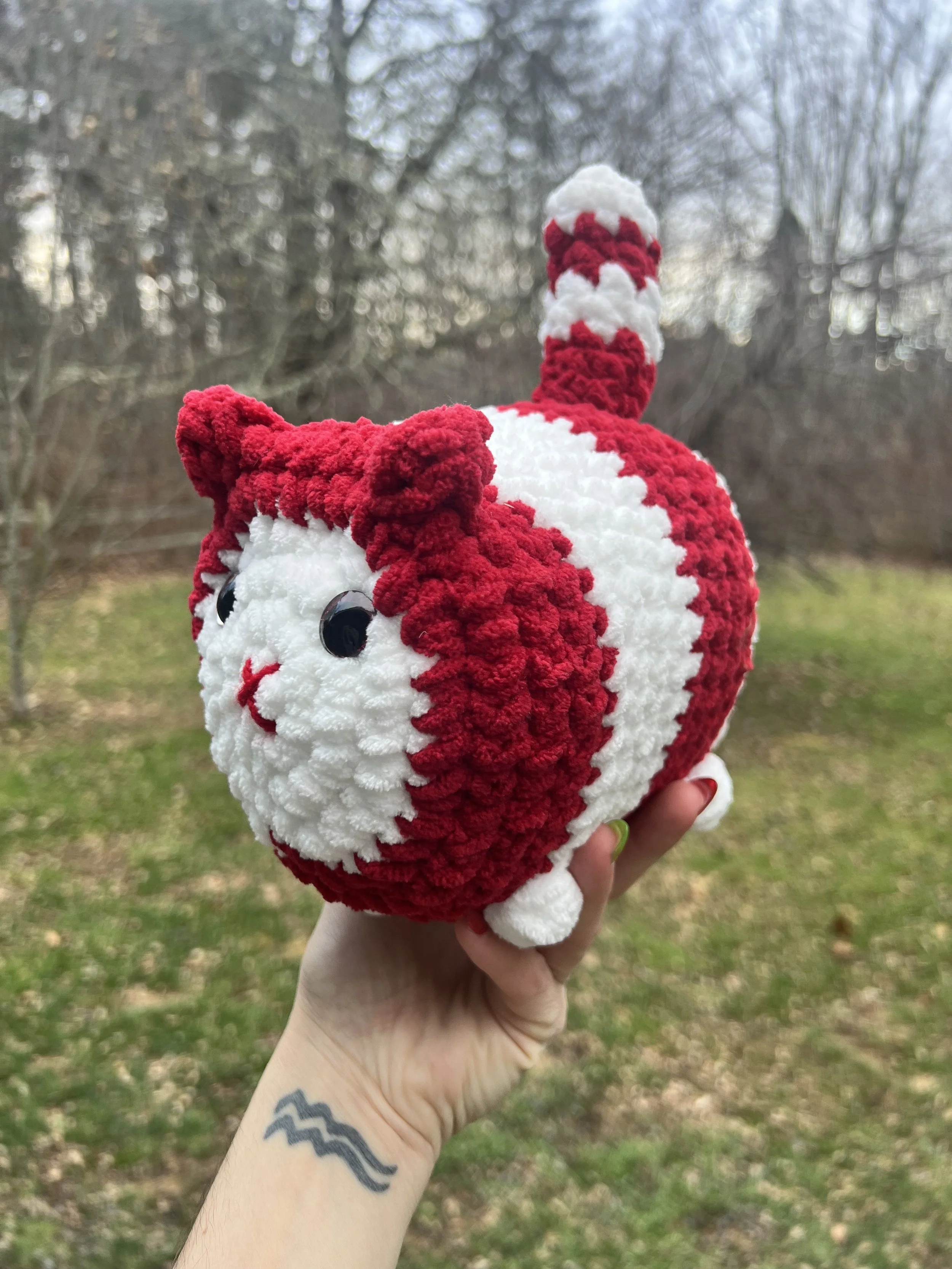 Jumbo peppermint cat 1.jpg