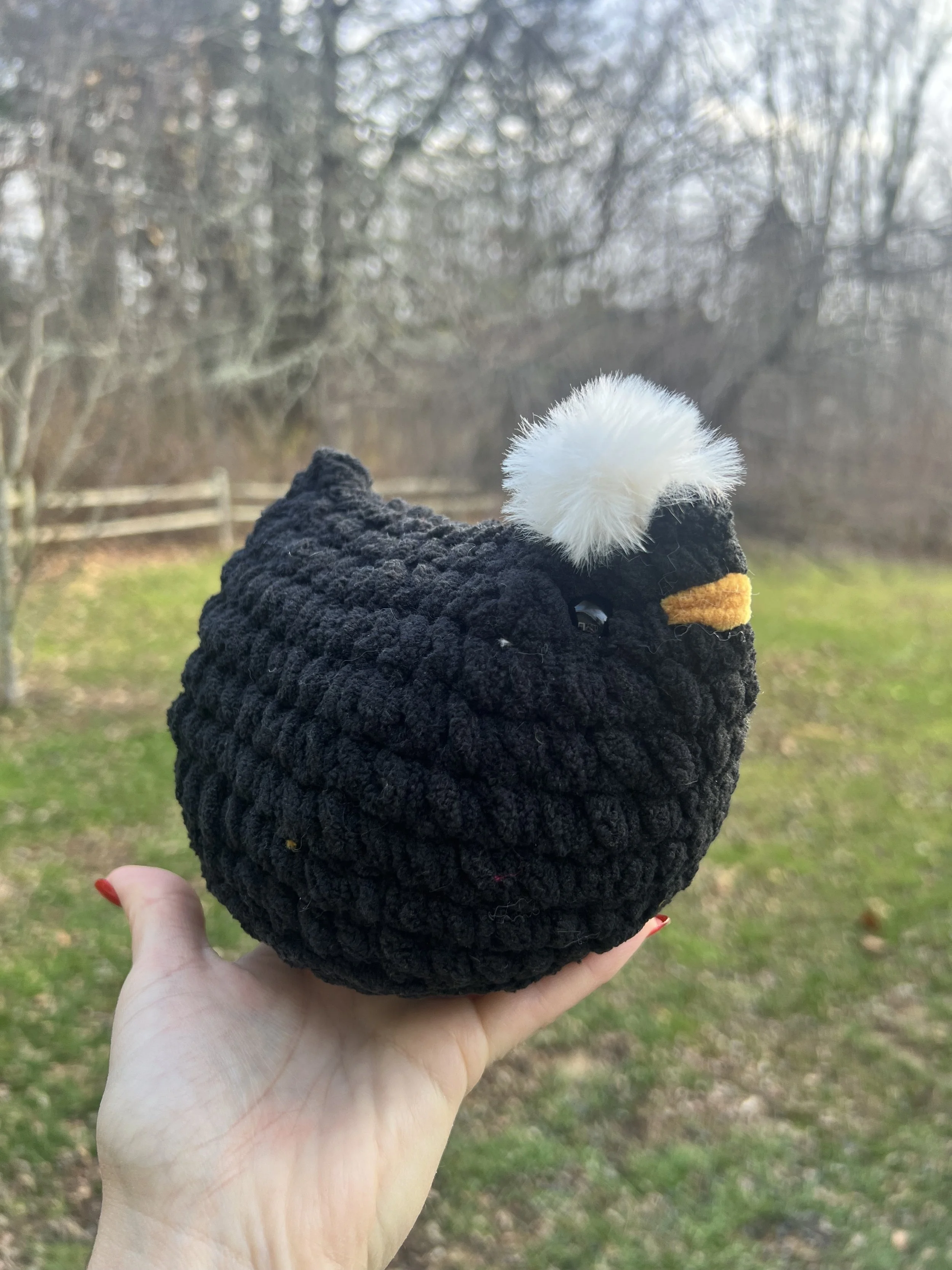 Furry Comb Black Chicken