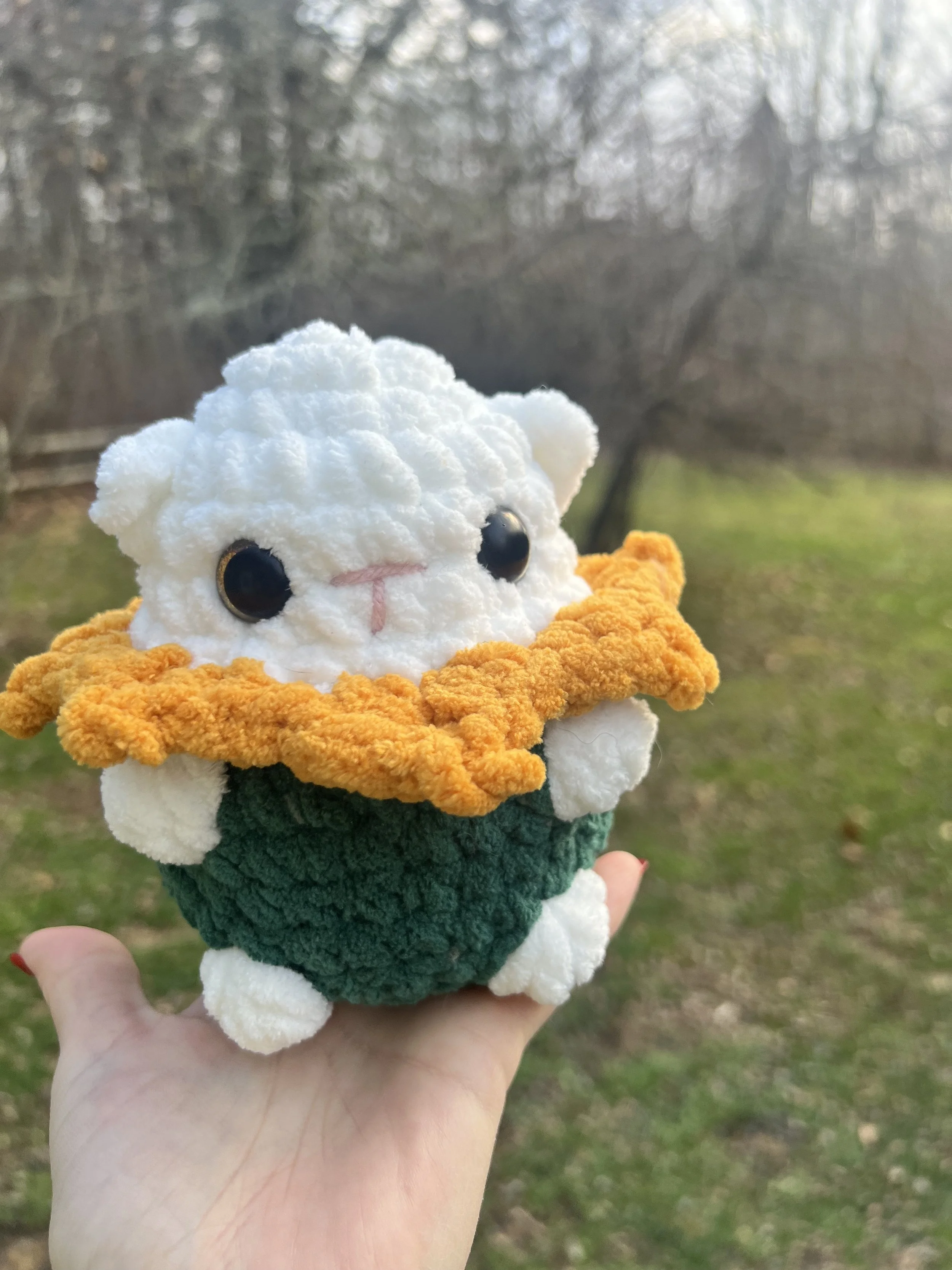 white cat flower 1.jpg