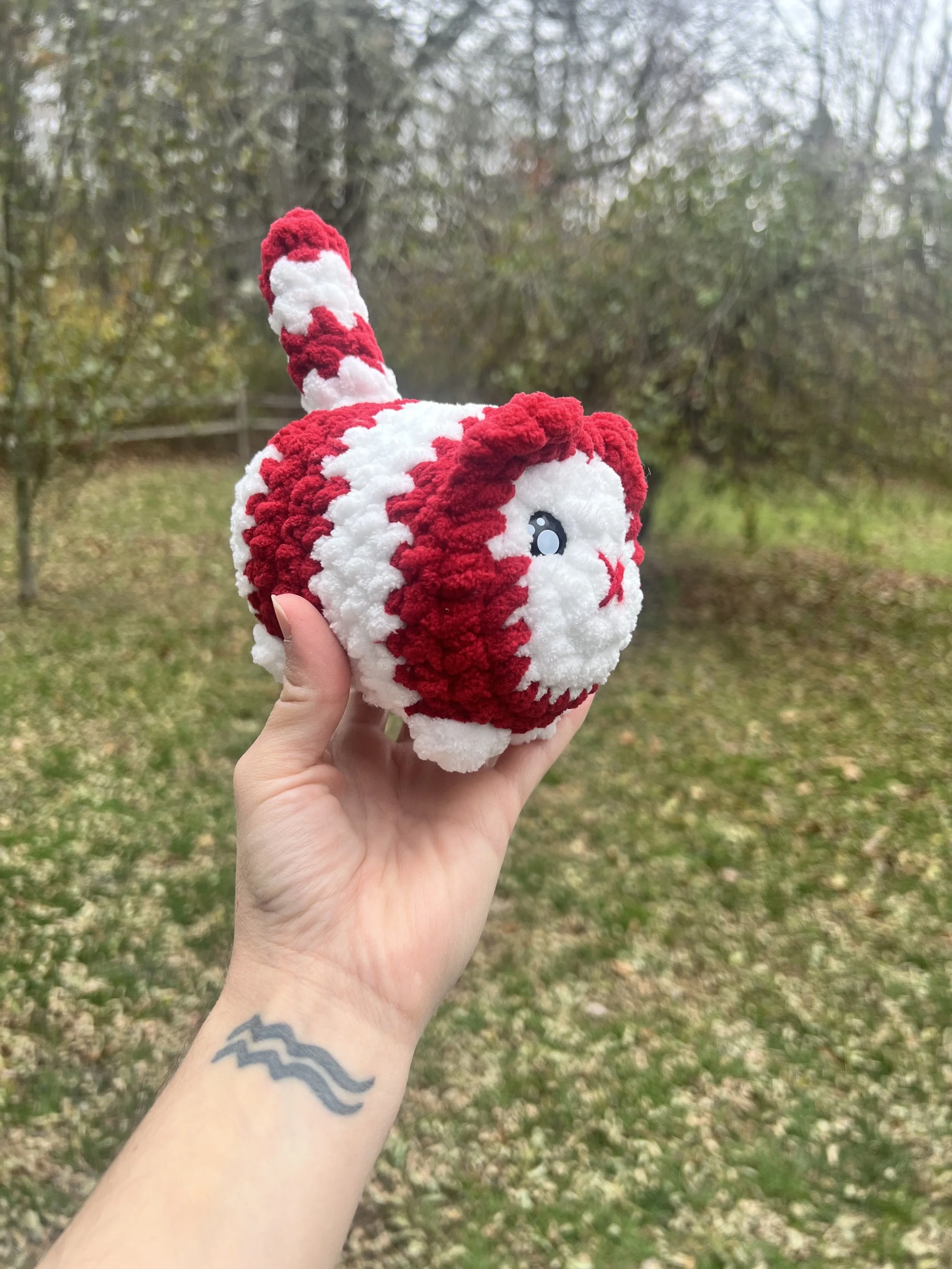 mini peppermint cat 2.jpg