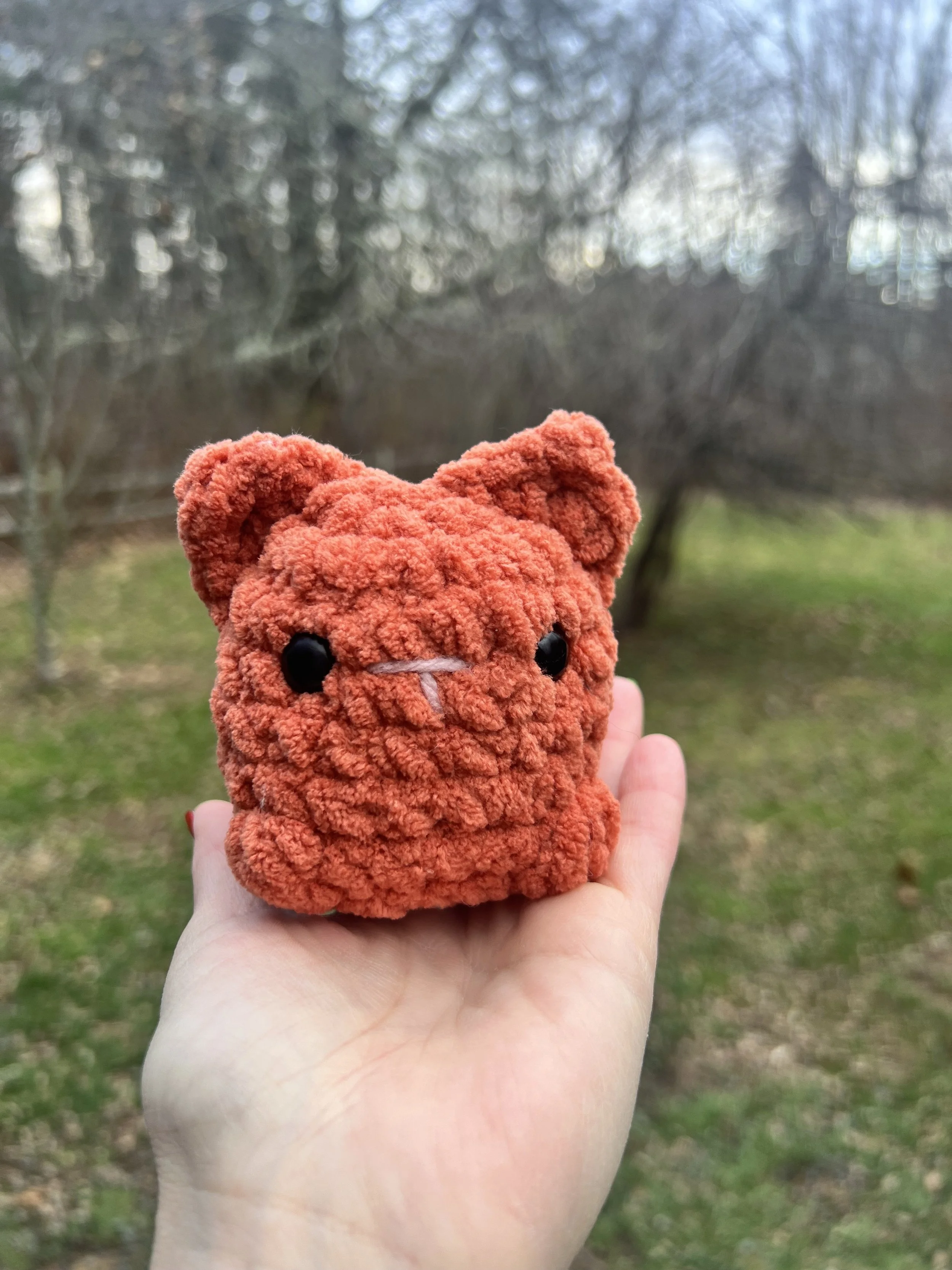 mini ornage cat 1.jpg