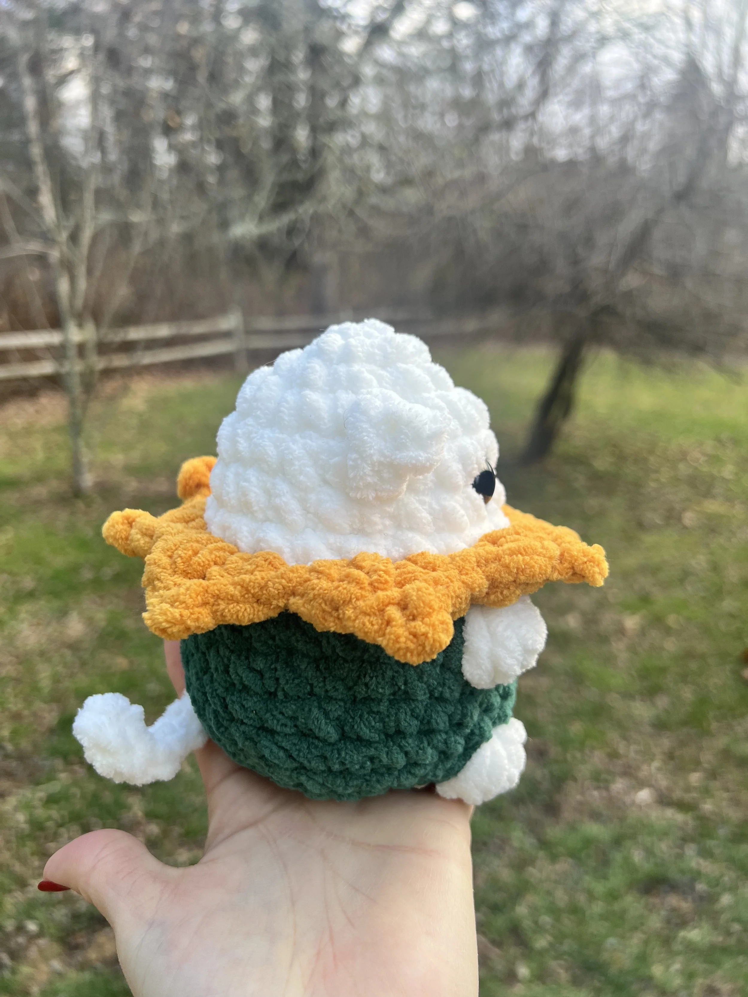 white cat flower 2.jpg