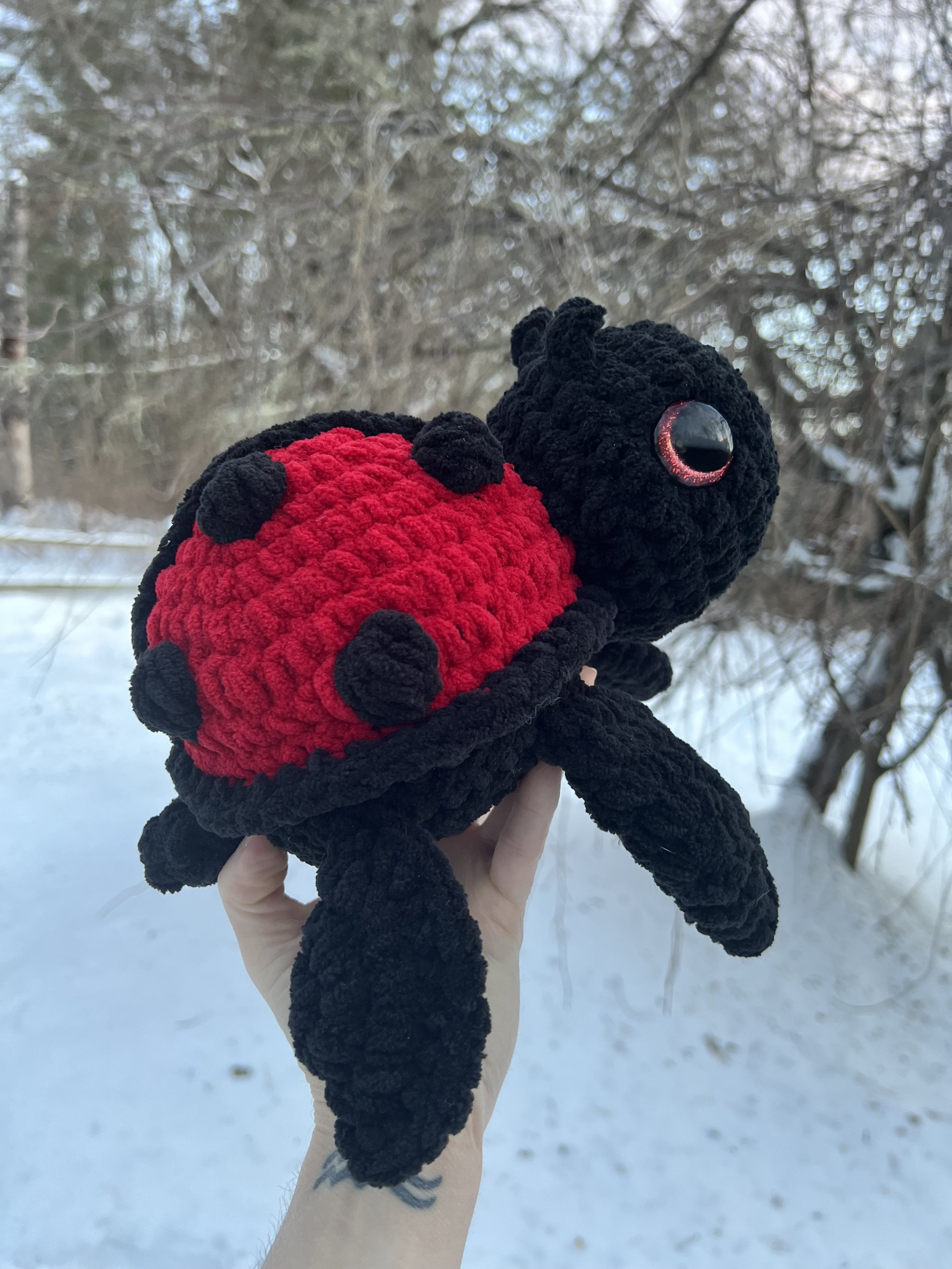 ladybug2.jpg