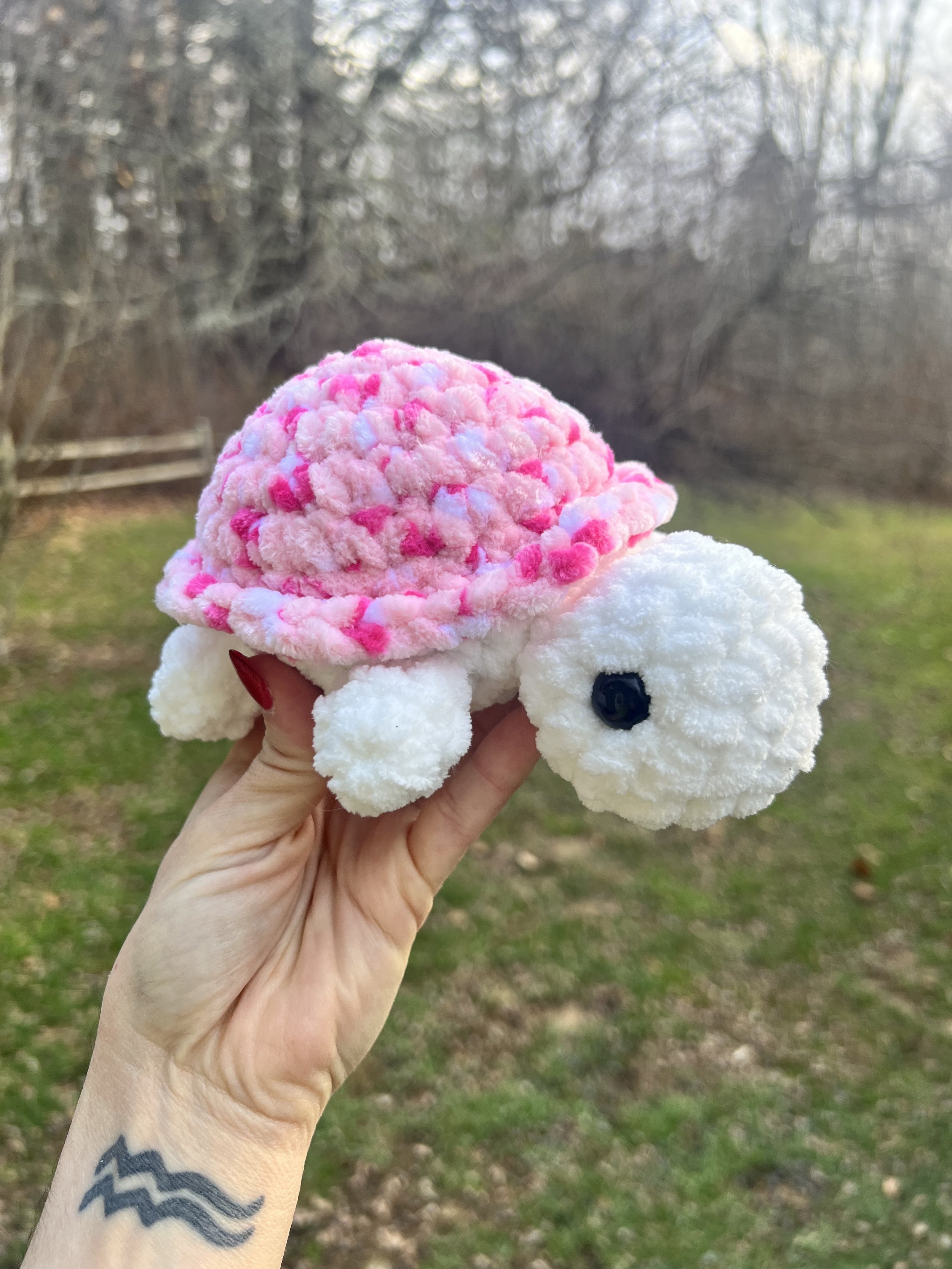 Pink-Shelled White Turtle