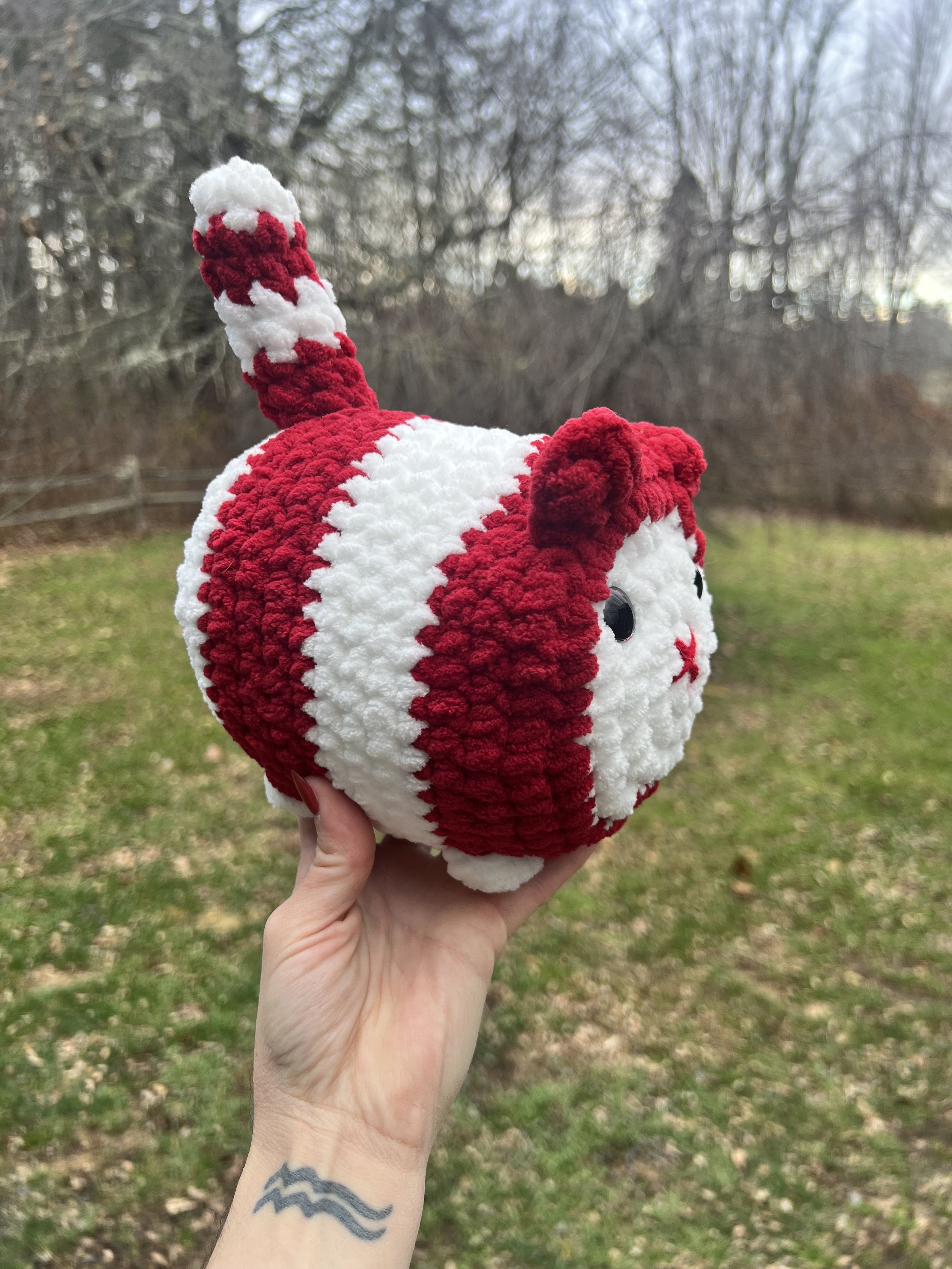 jumbo peppermint cat 2.jpg