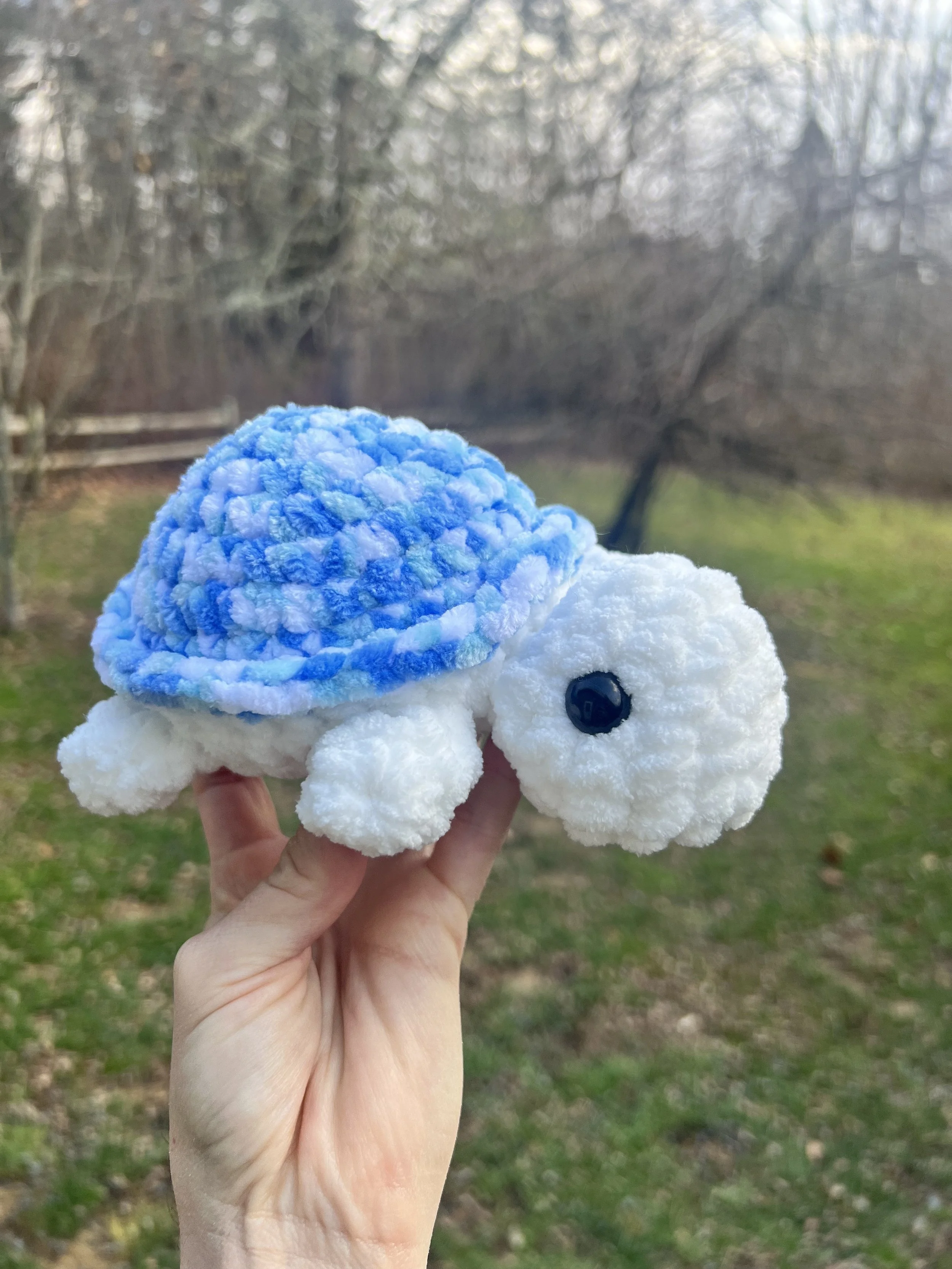 Mini blue turtle.jpg