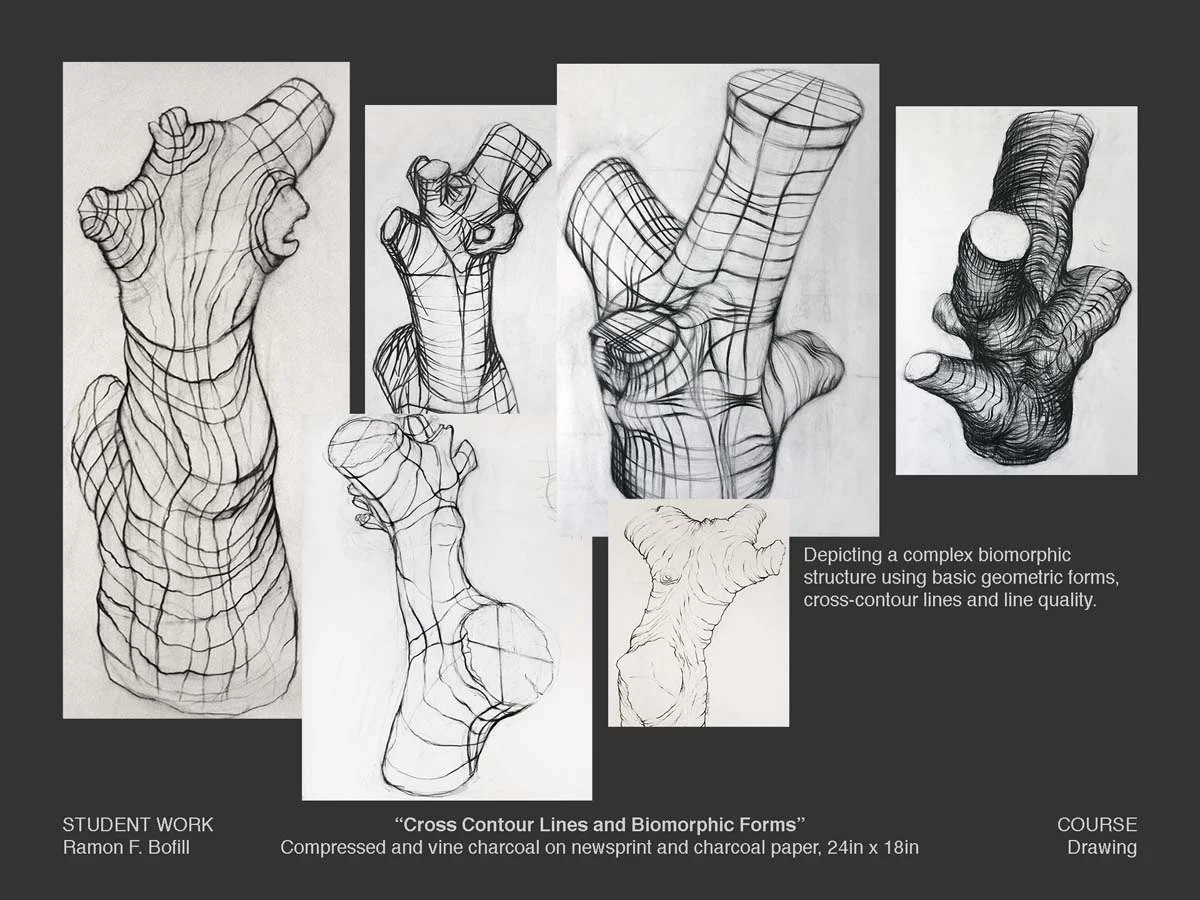 tree_draw-01.jpg (Copy)